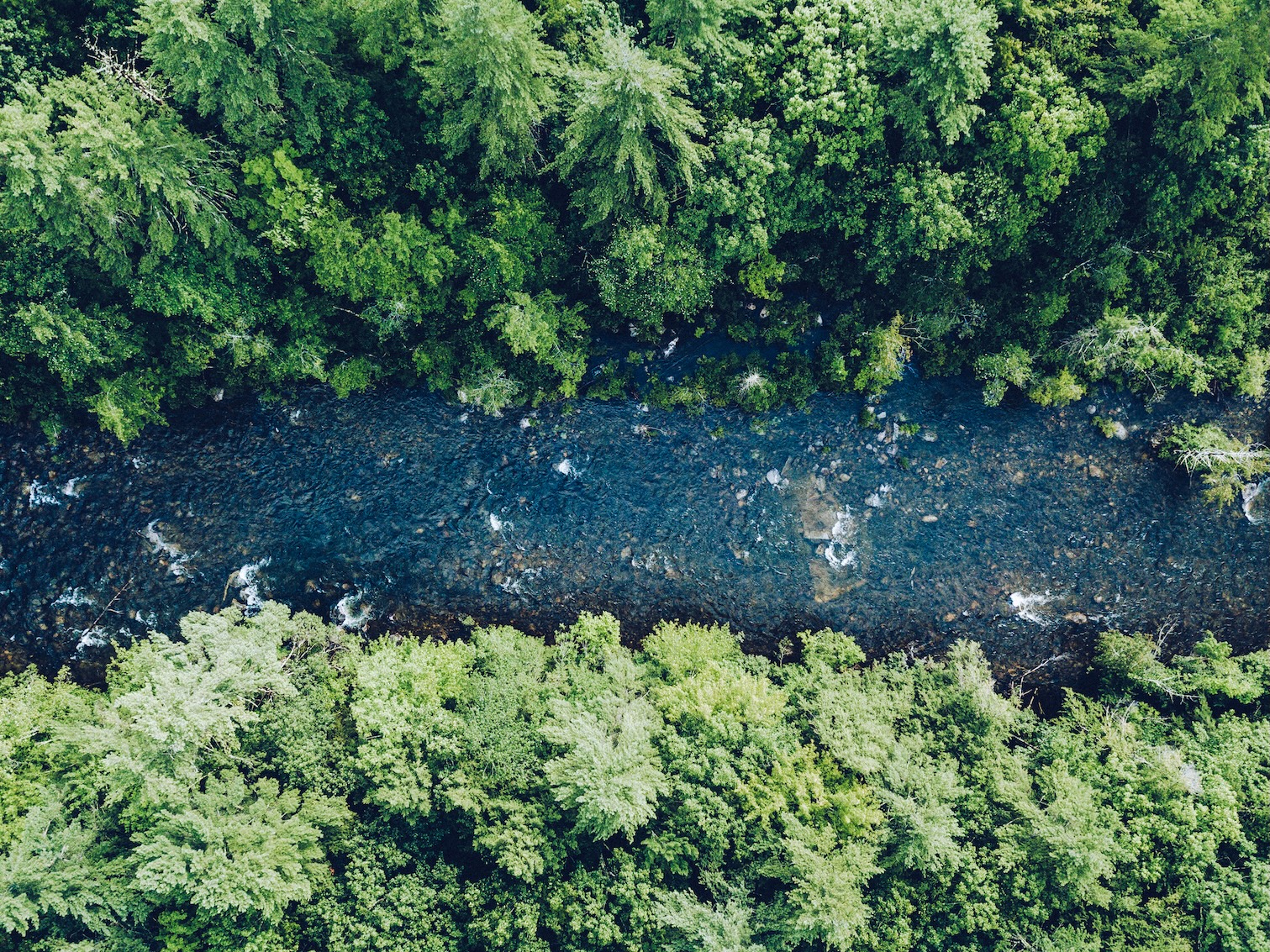 Aerial Landscape 38