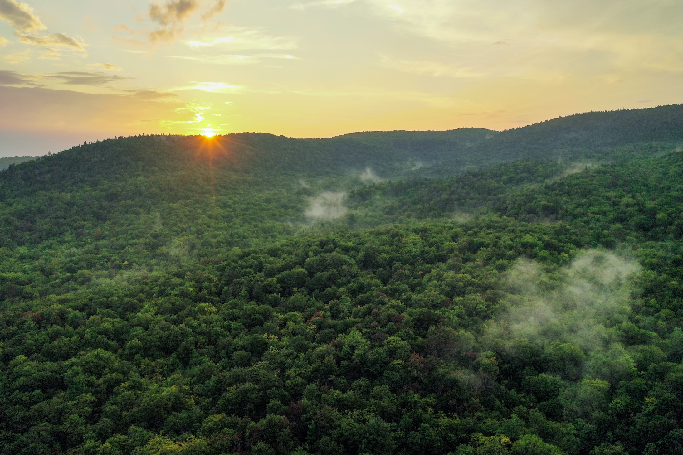 Aerial Landscape 31