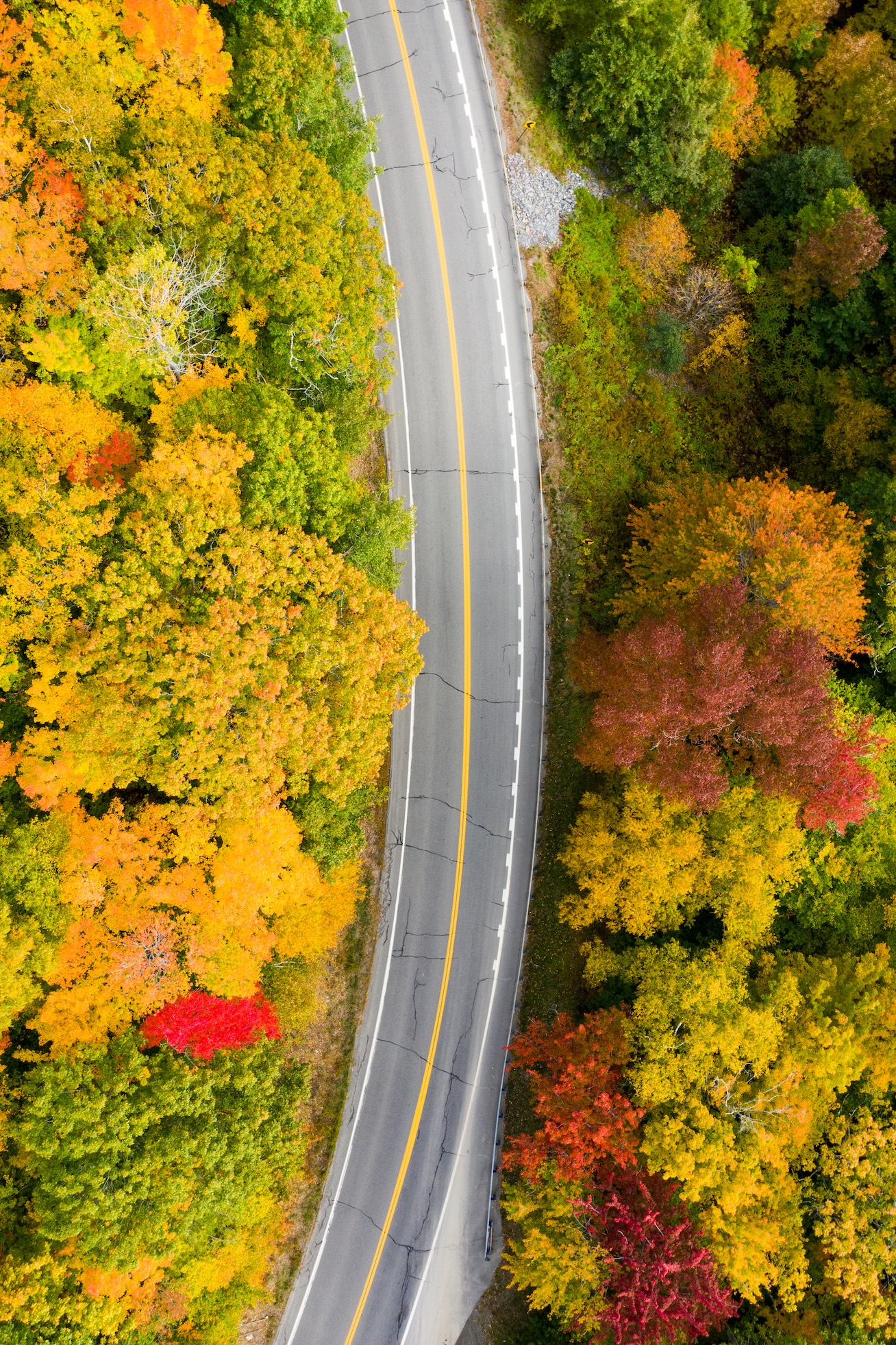 Aerial Landscape 25