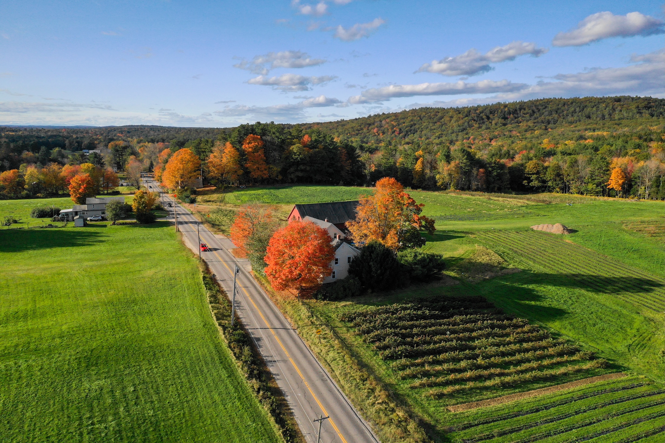 Aerial Landscape 24