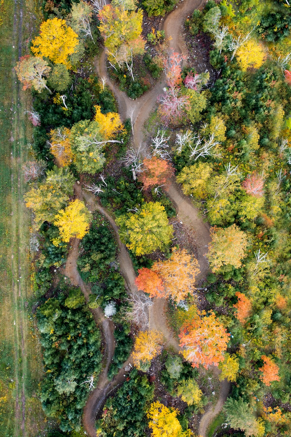 Aerial Landscape 12