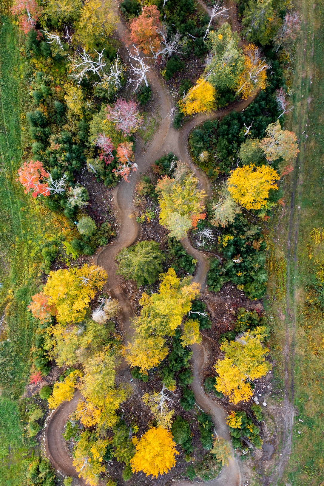 Aerial Landscape 10