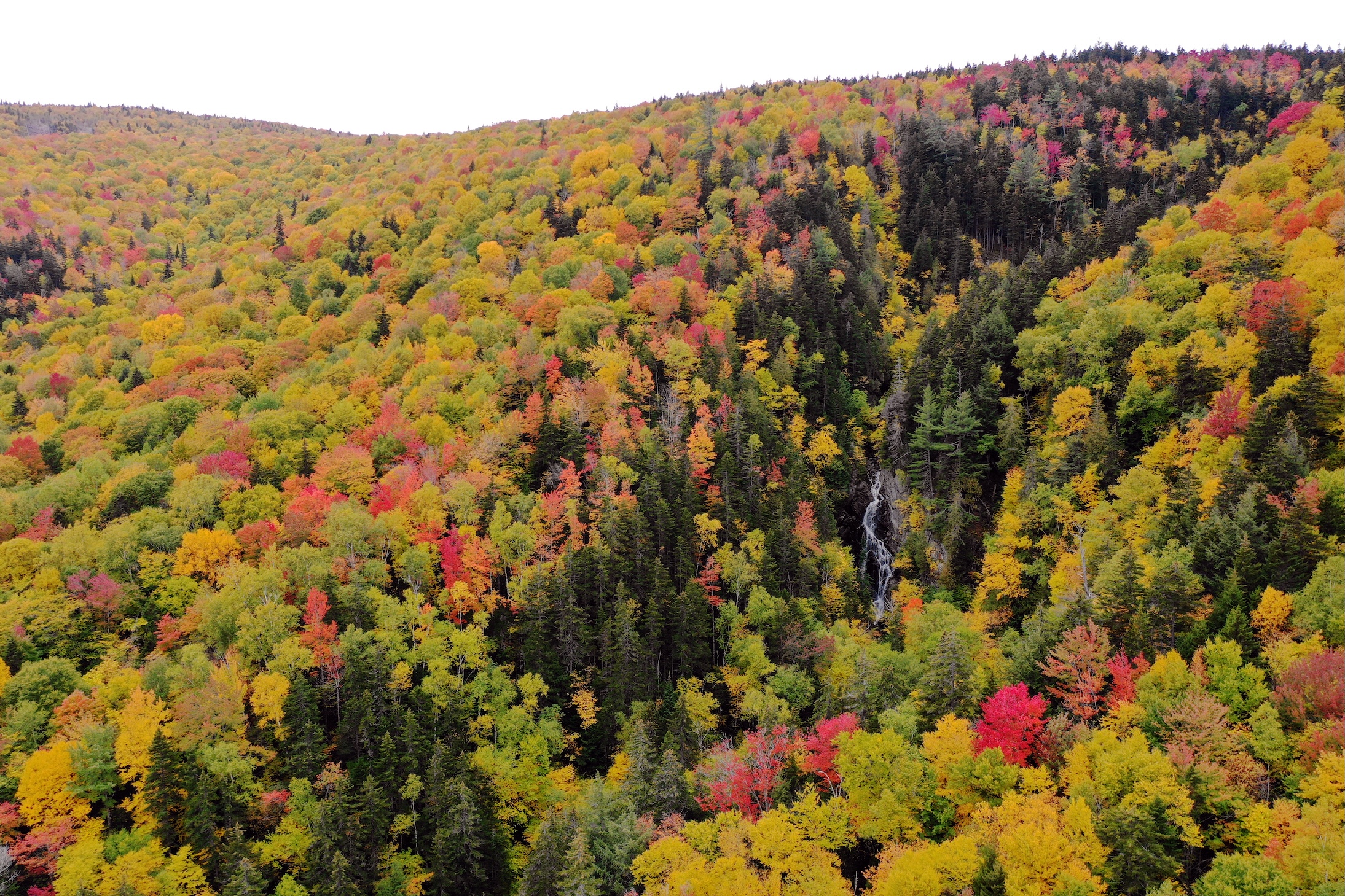 Aerial Landscape 9
