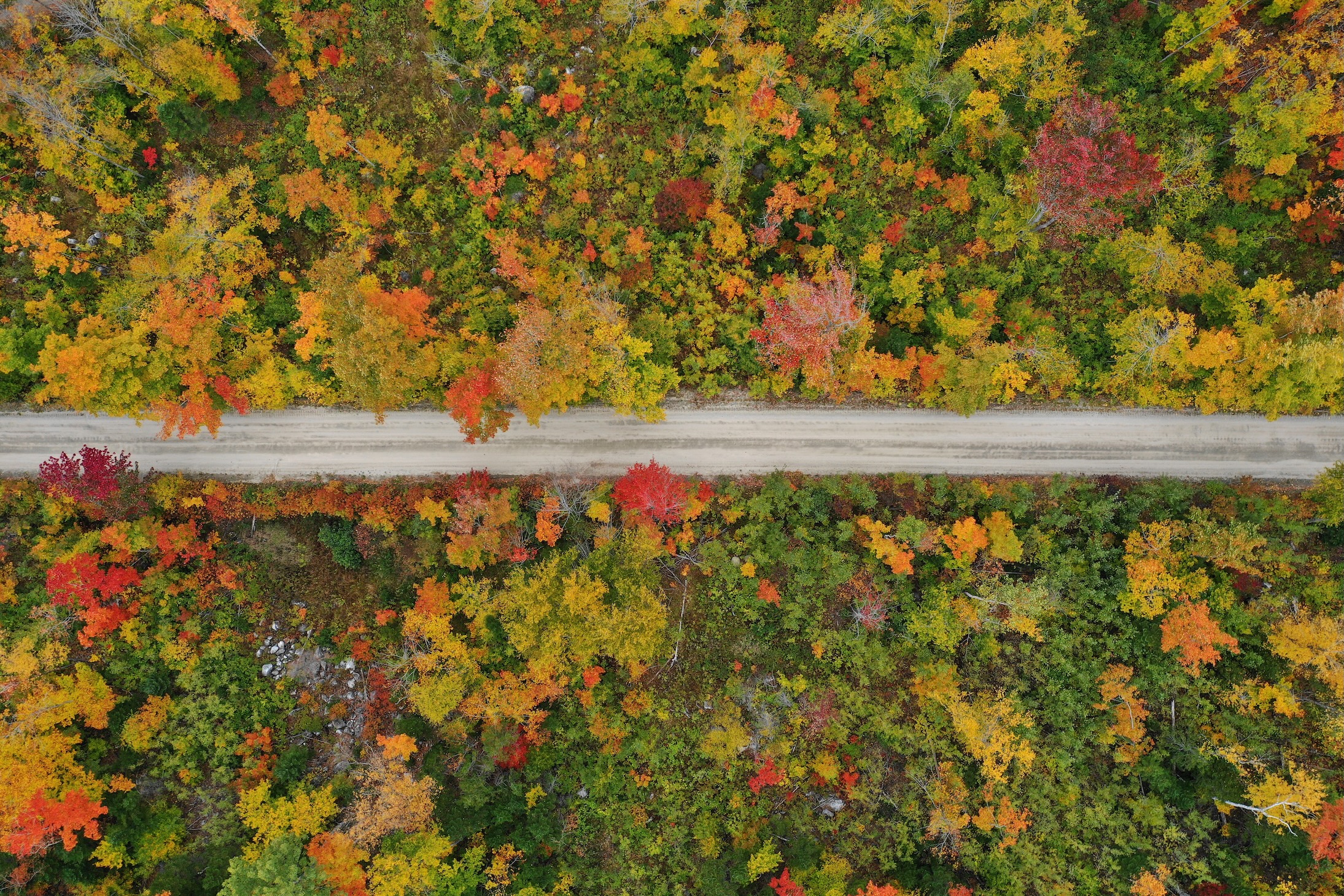 Aerial Landscape 8