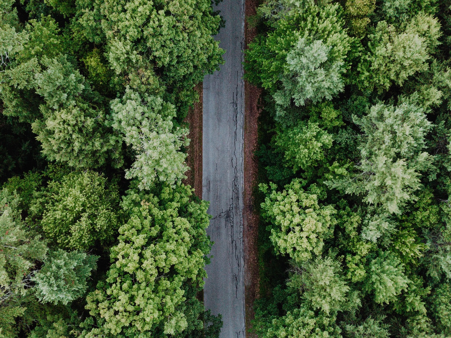 Aerial Landscape 6
