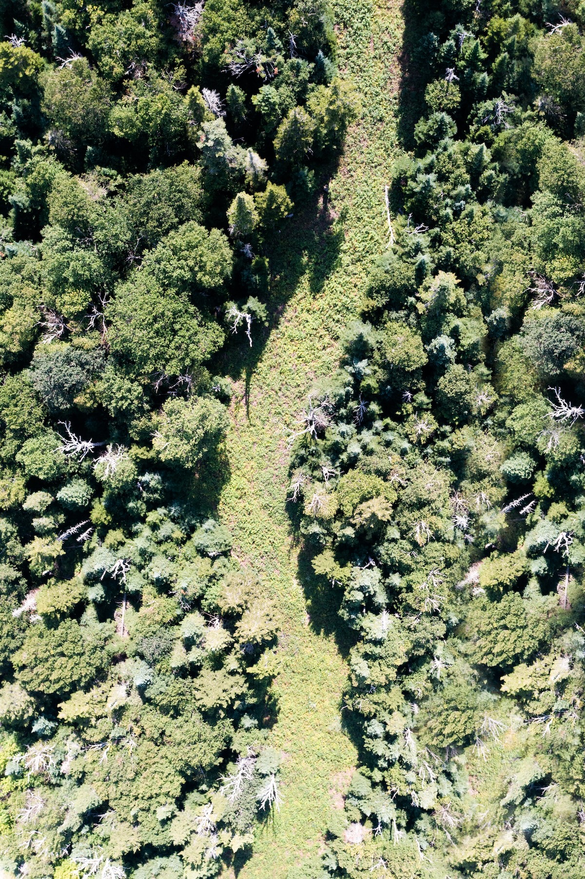 Aerial Landscape 2