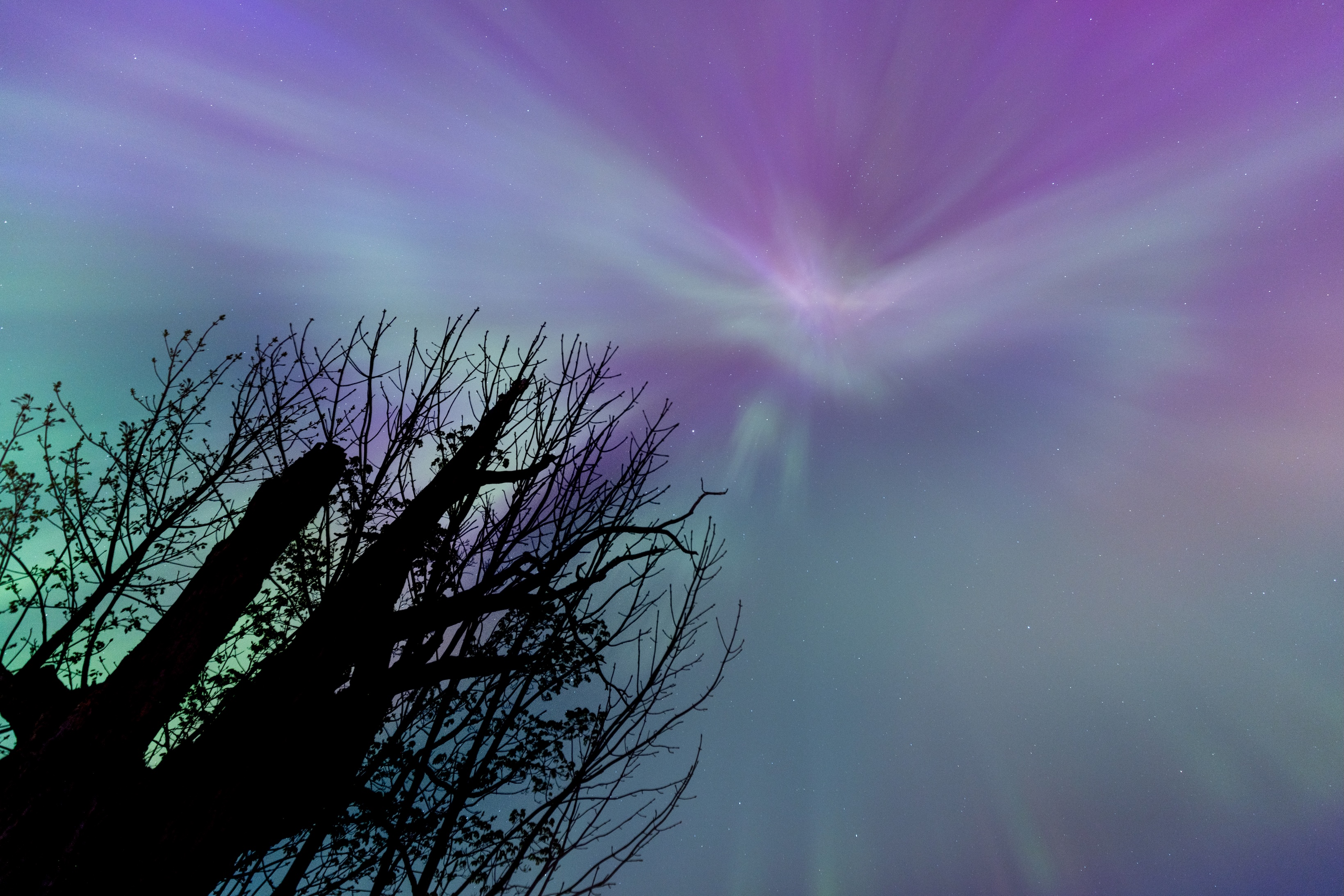 Astrophotography 28