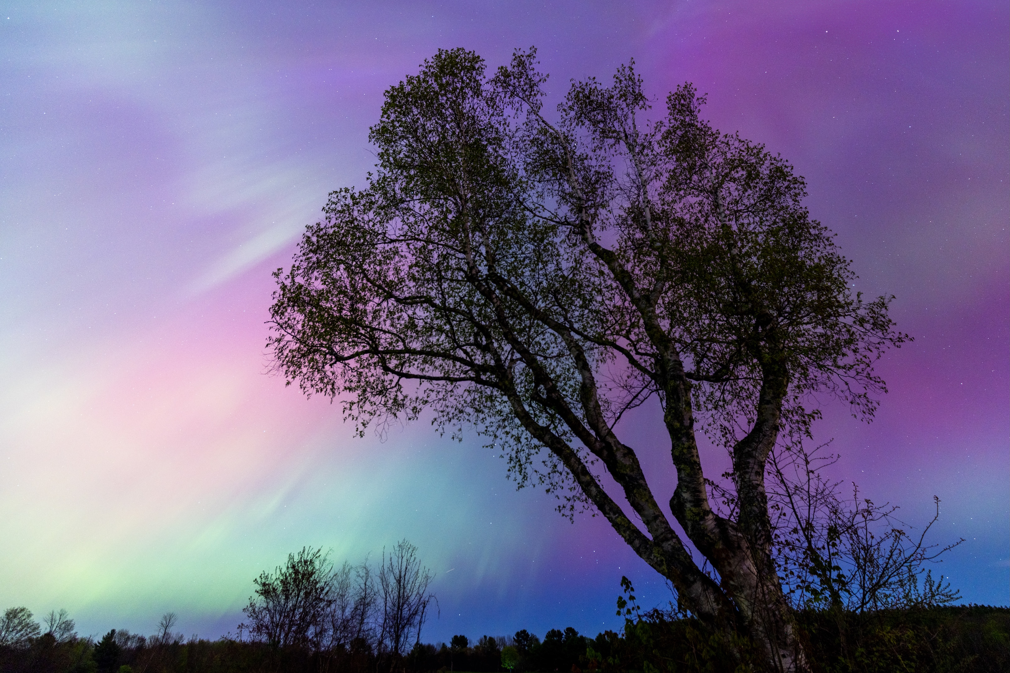 Astrophotography 21