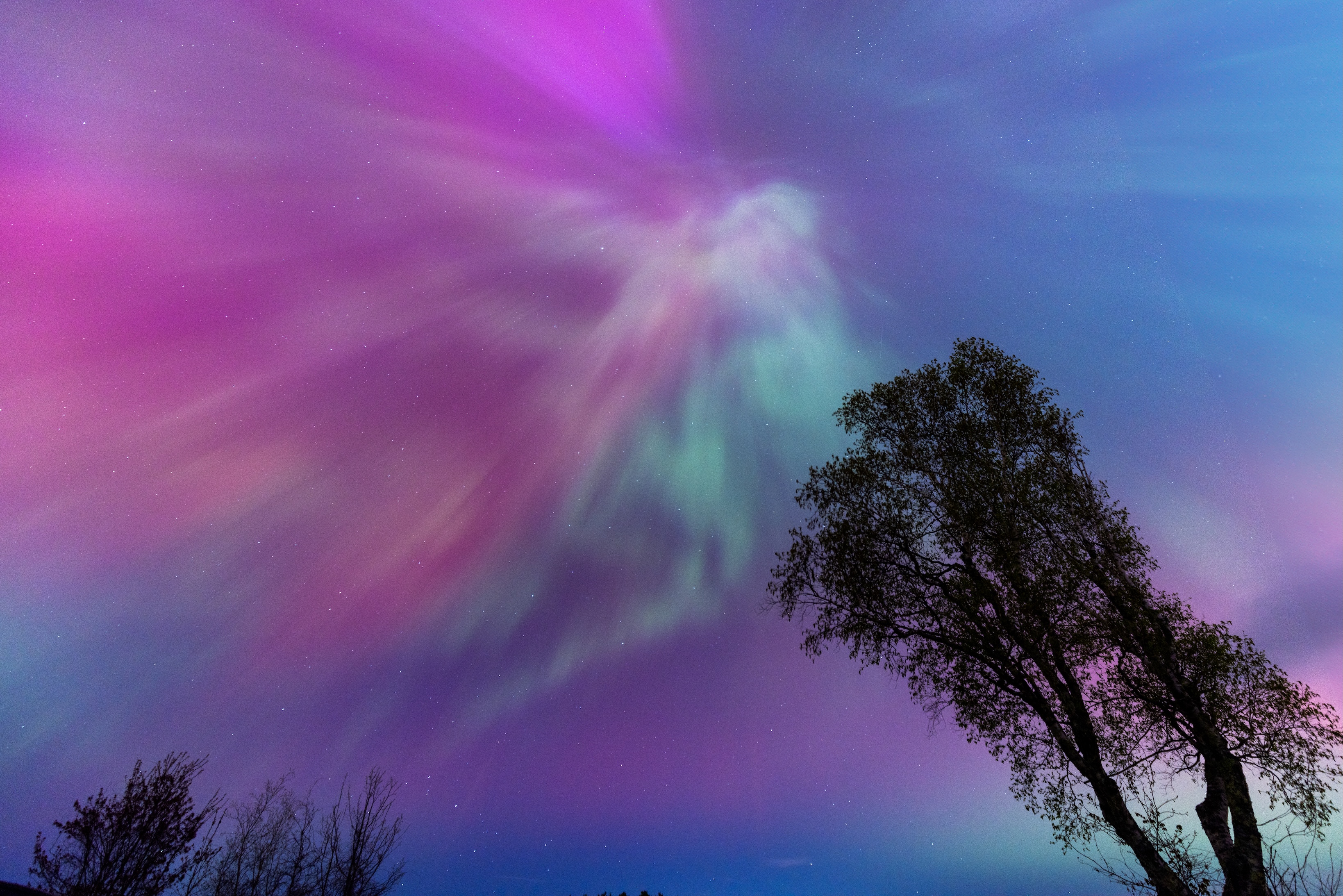 Astrophotography 19