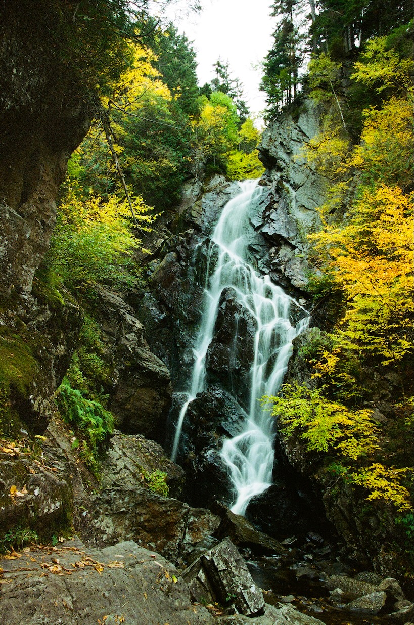 Autumn Landscape 75