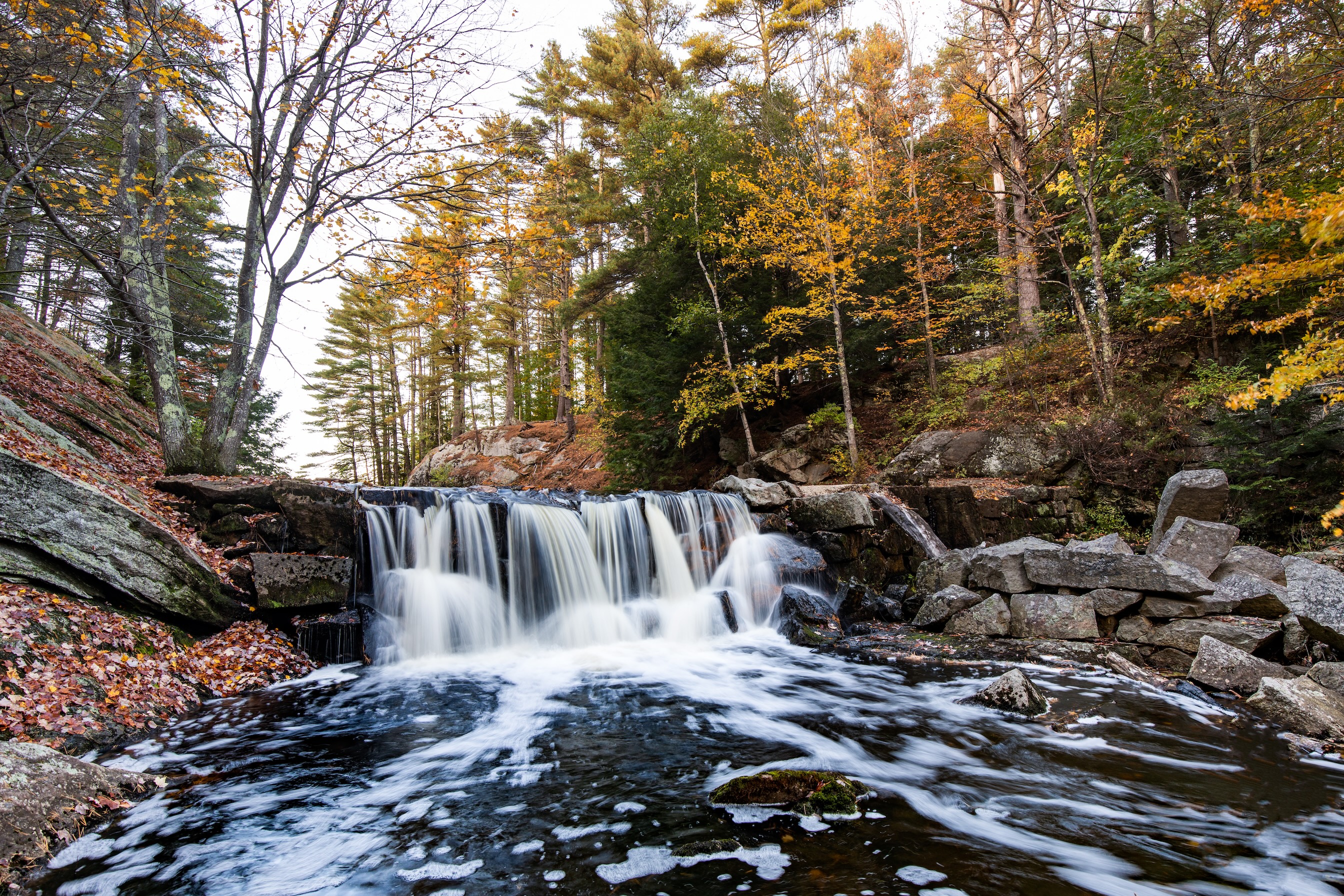 Autumn Landscape 73