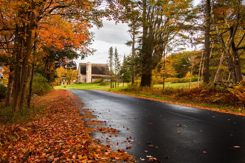 Autumn Landscape 71