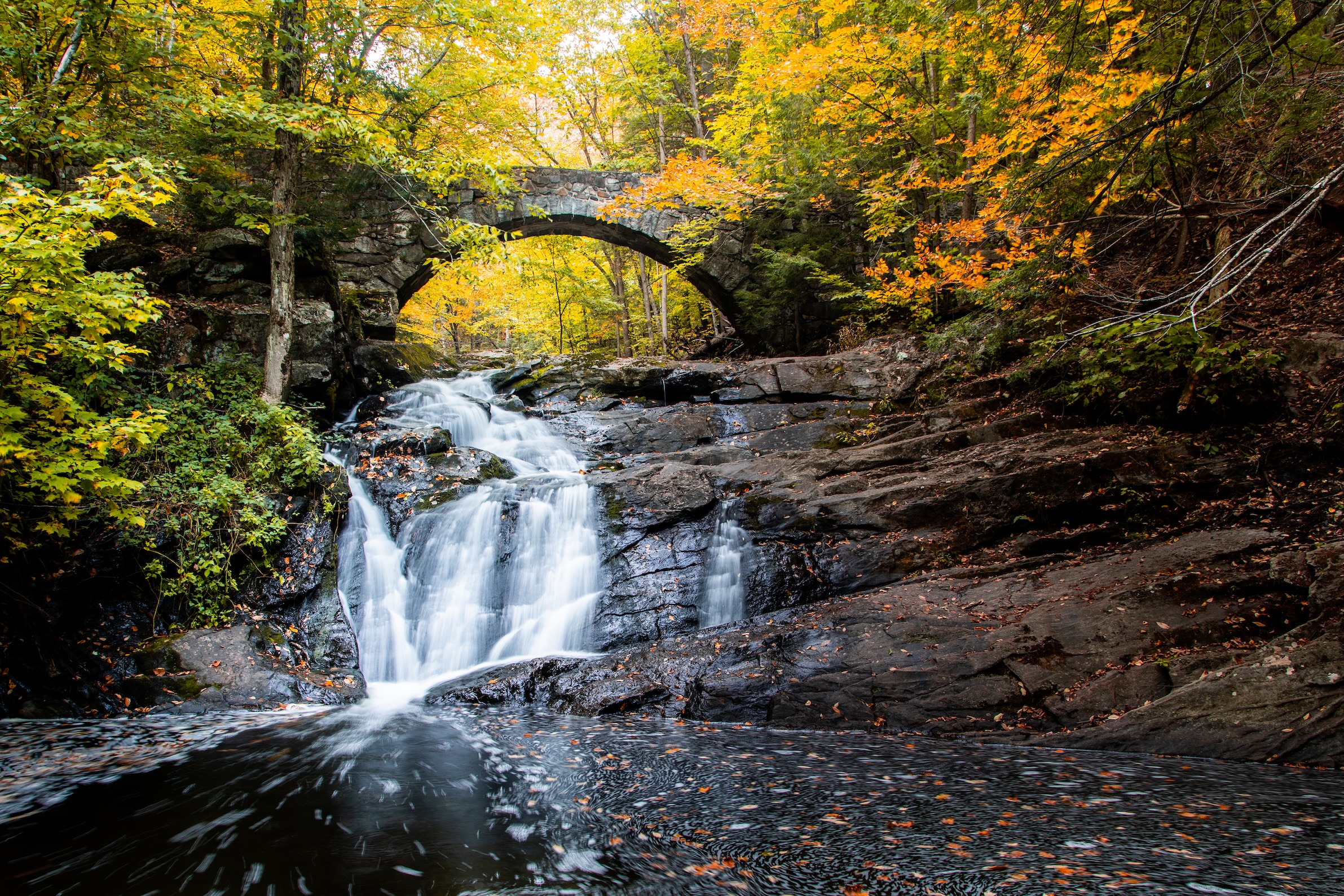 Autumn Landscape 70