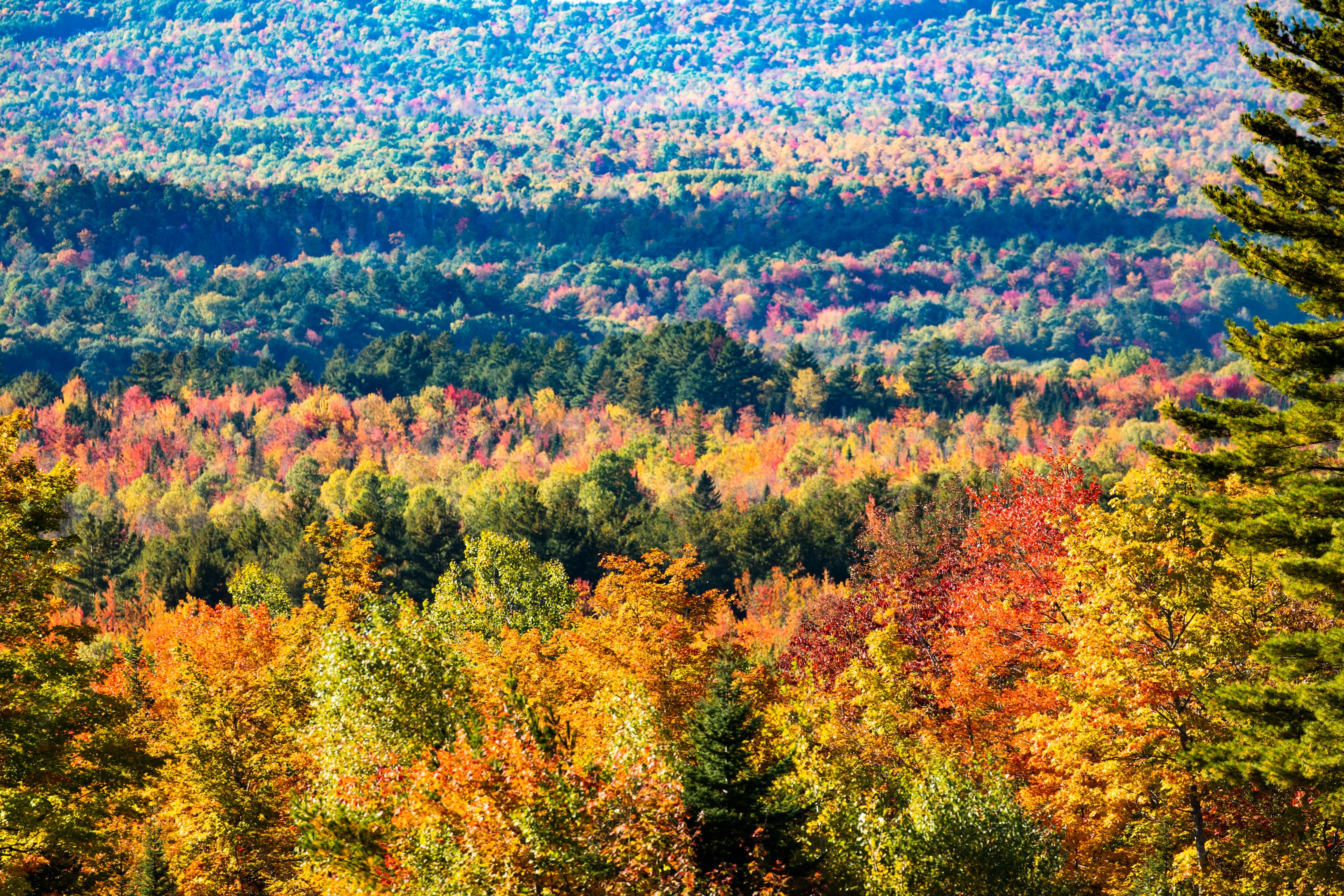 Autumn Landscape 69
