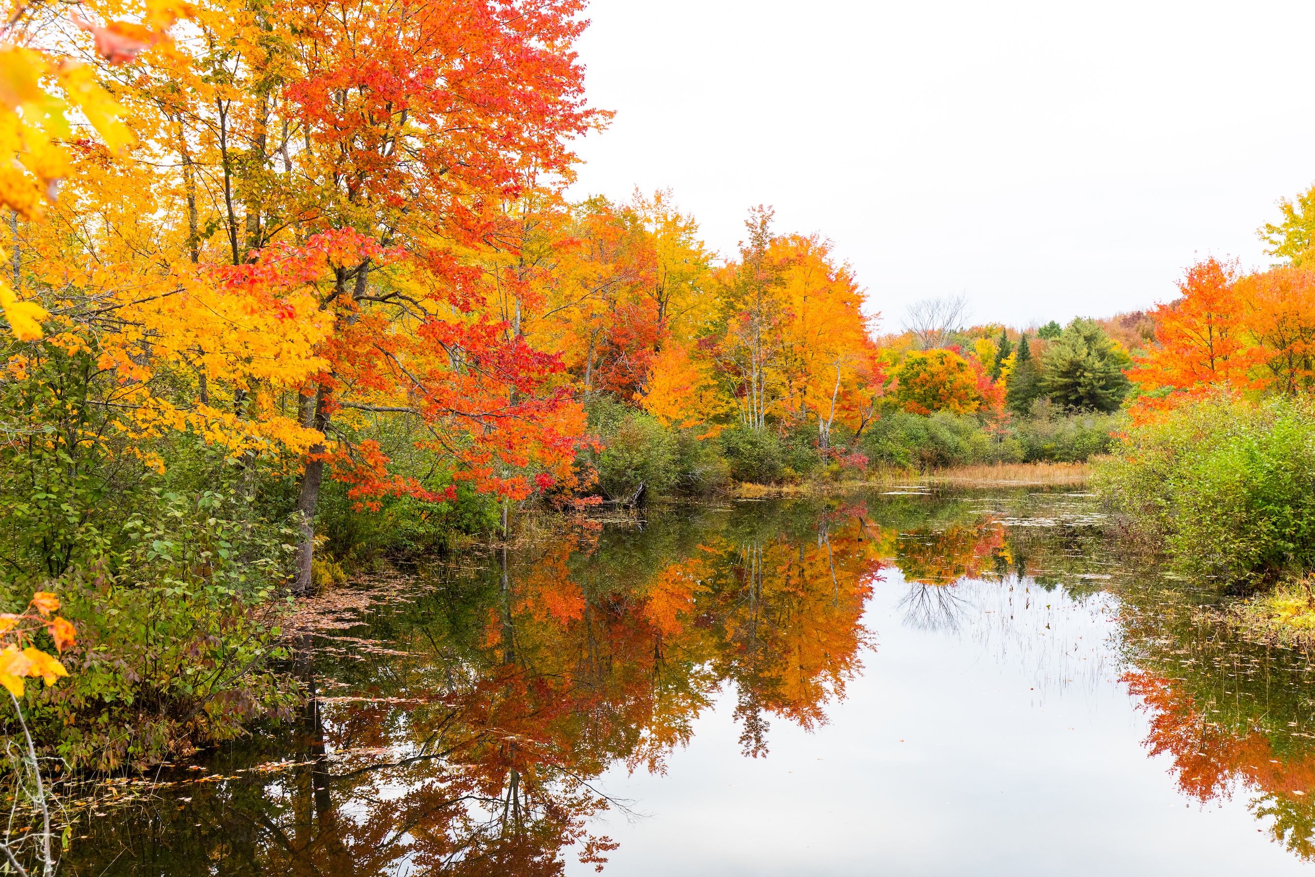 Autumn Landscape 67