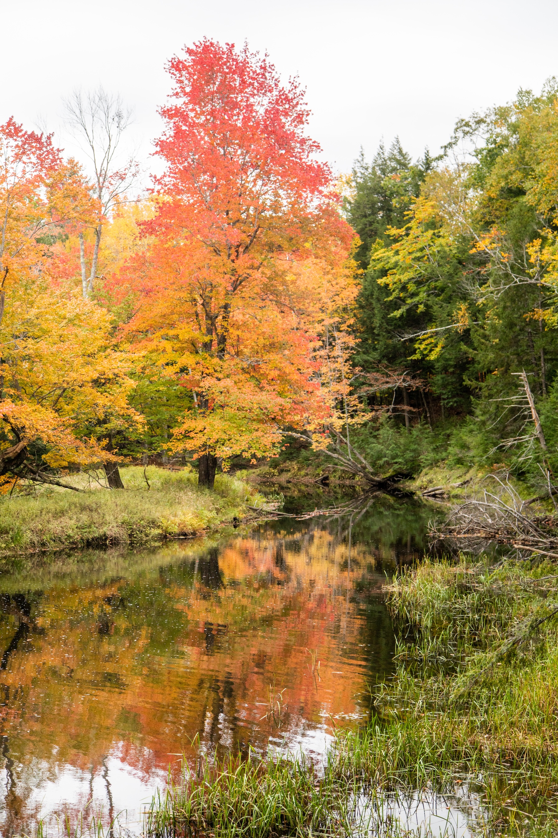 Autumn Landscape 66