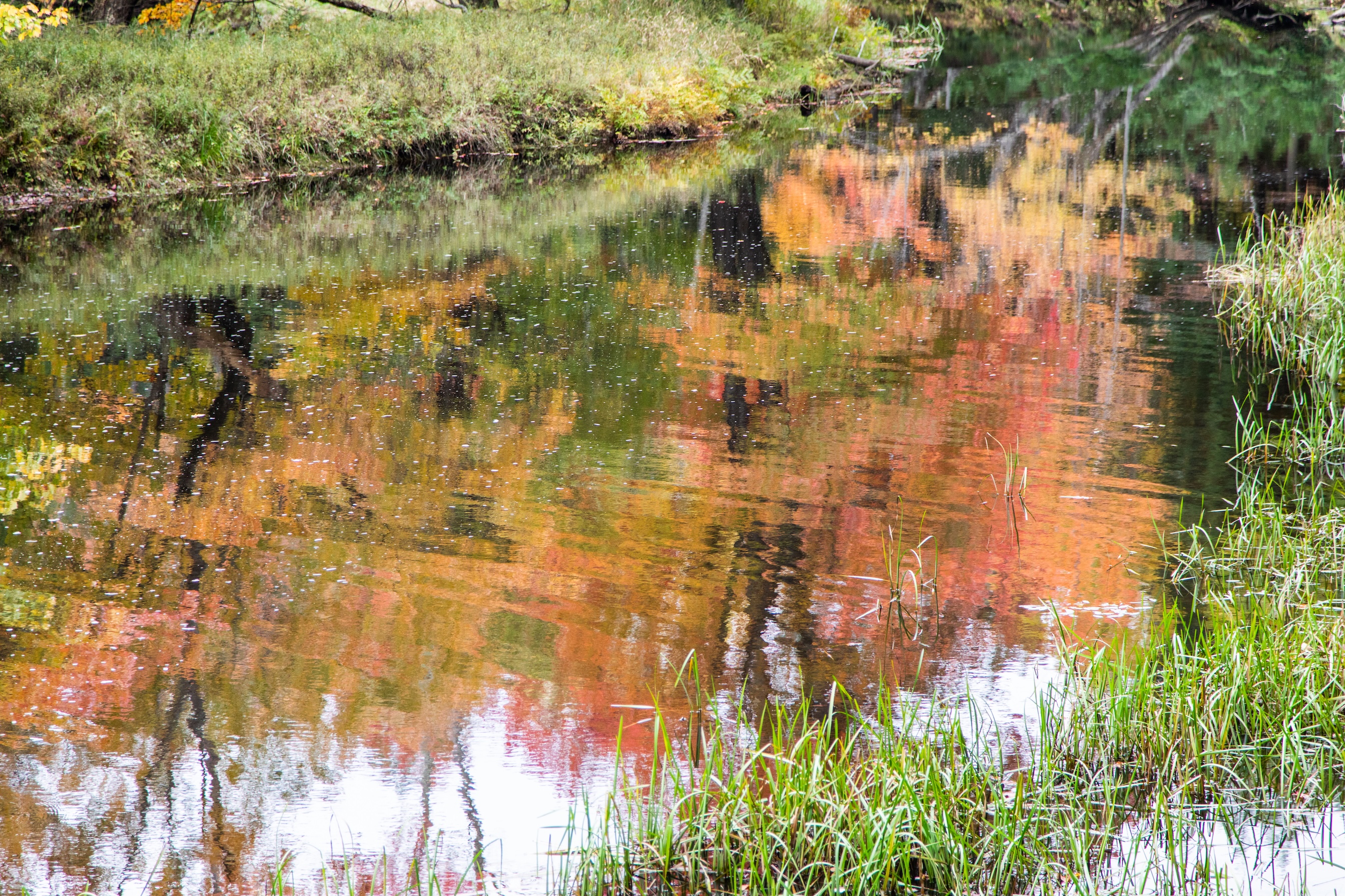 Autumn Landscape 65