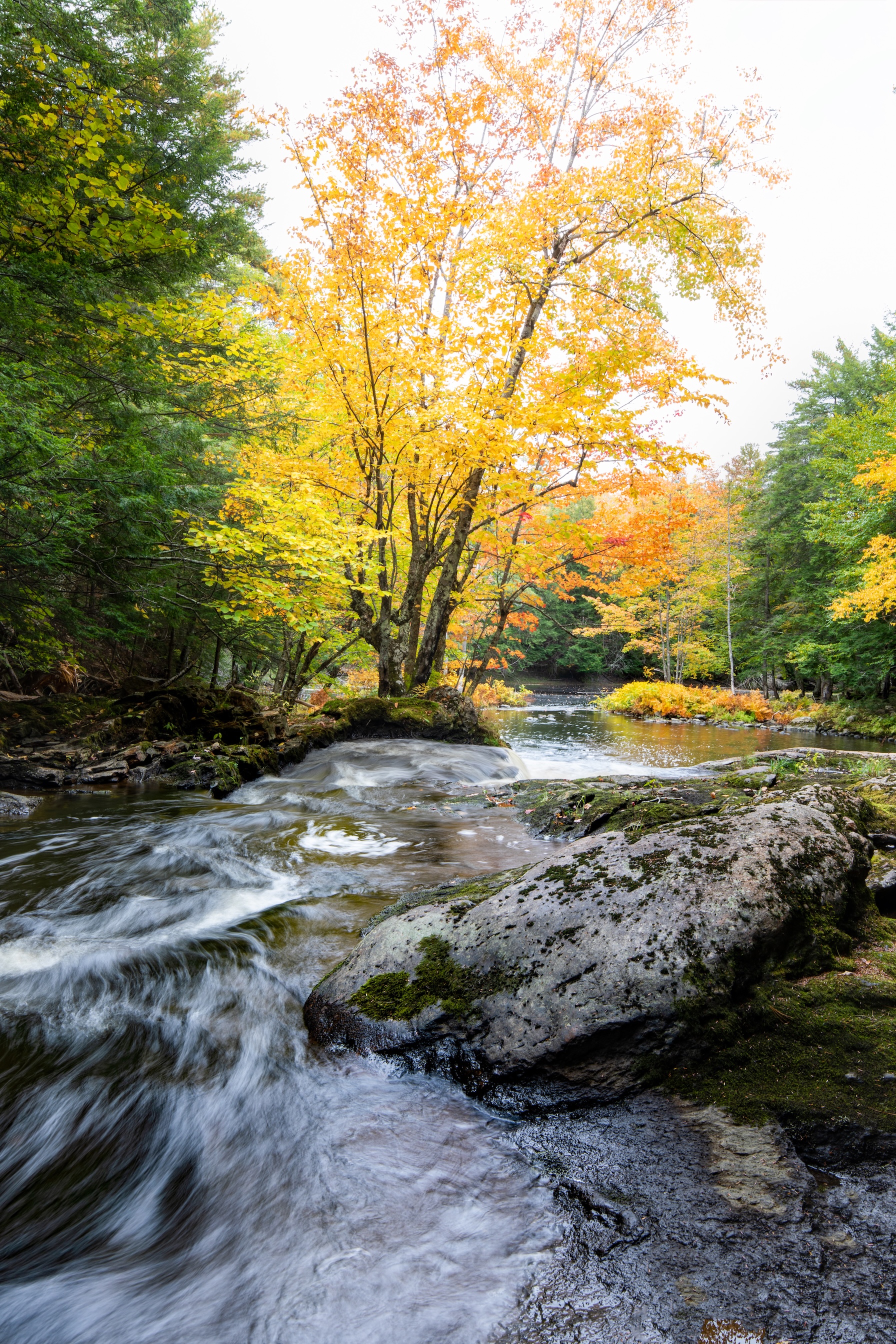 Autumn Landscape 64