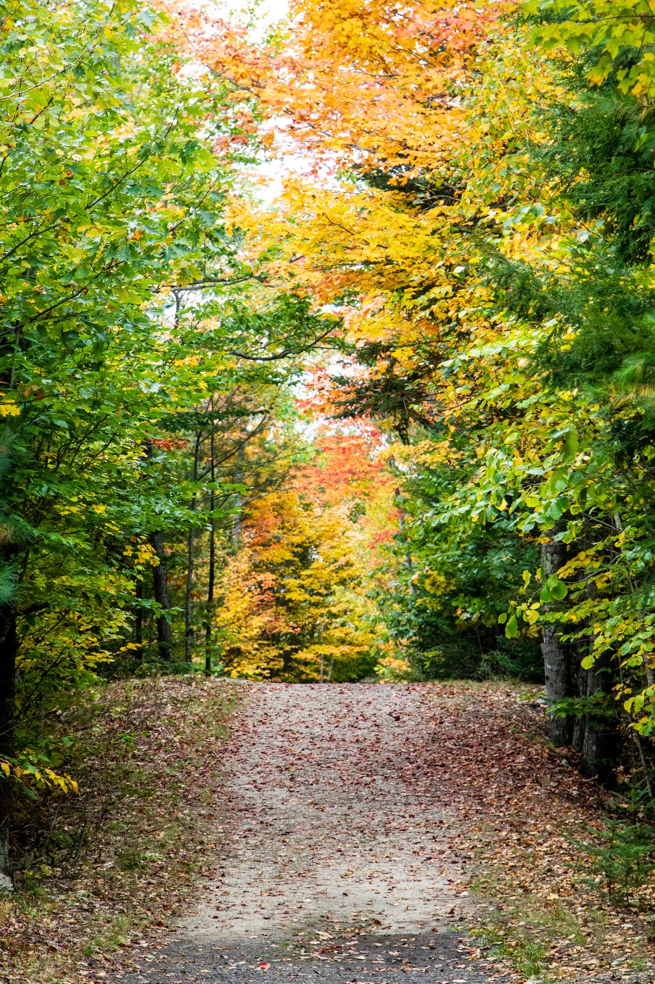 Autumn Landscape 62