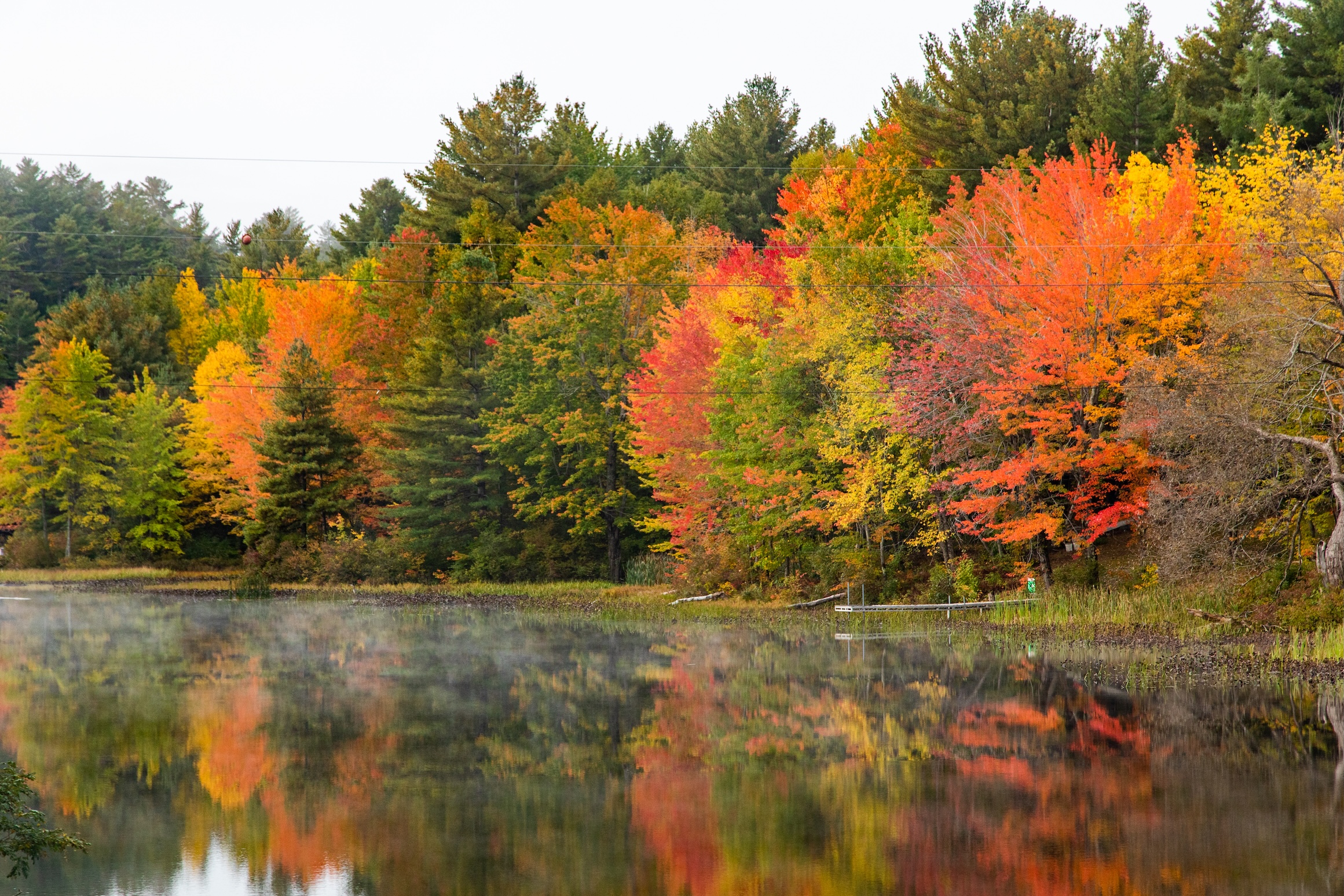 Autumn Landscape 61