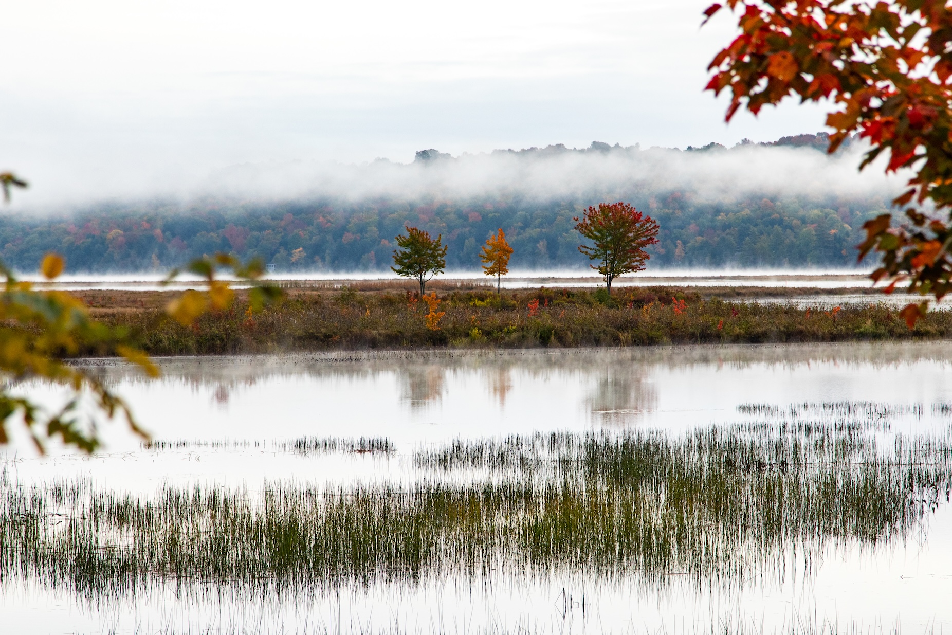 Autumn Landscape 60