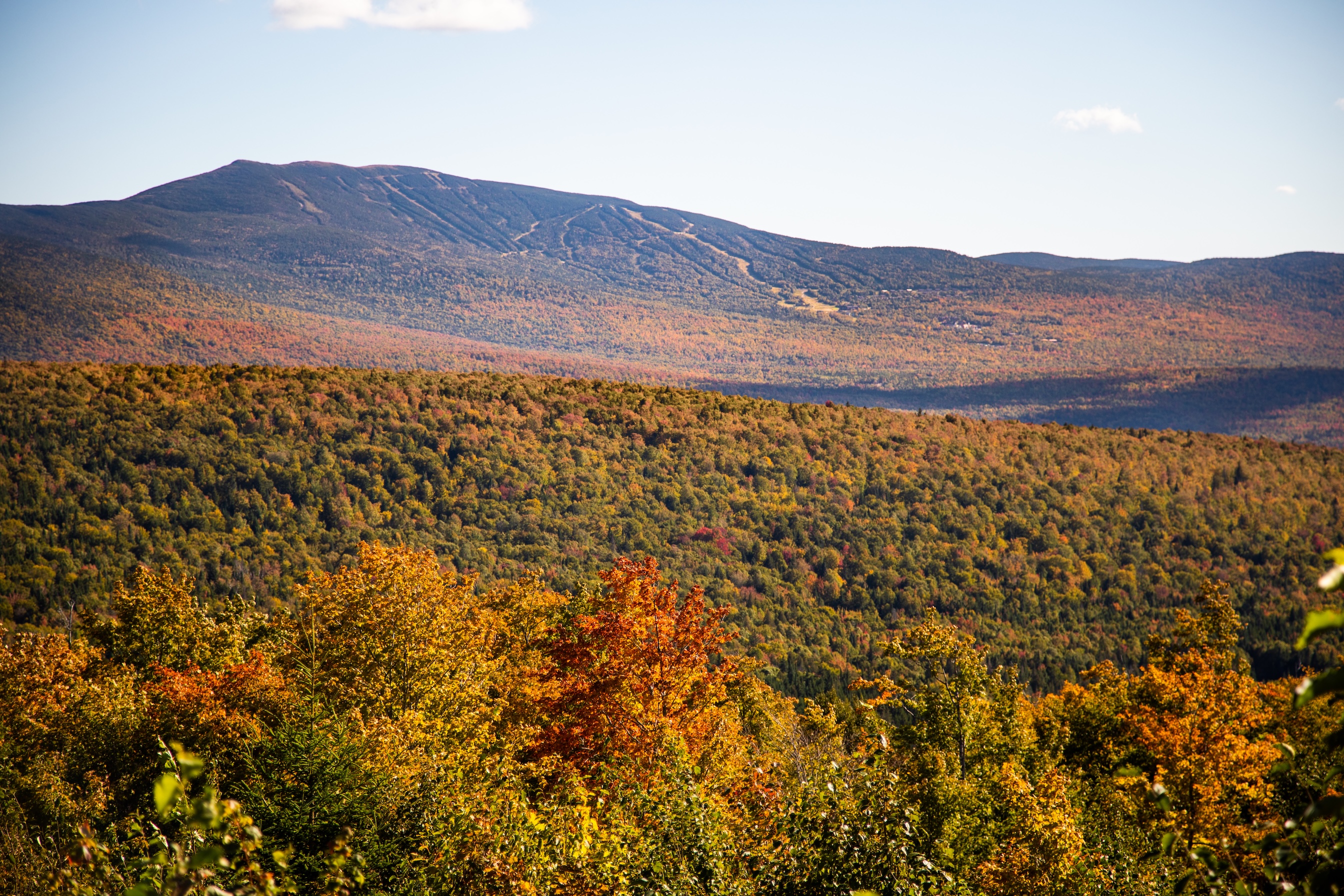 Autumn Landscape 59
