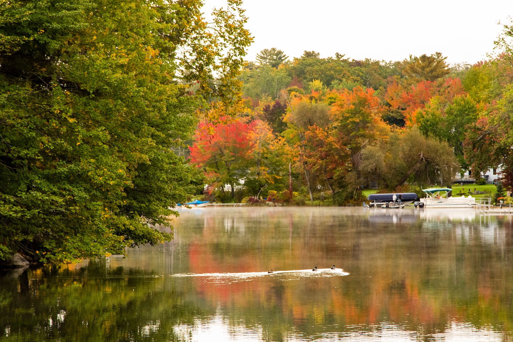 Autumn Landscape 58
