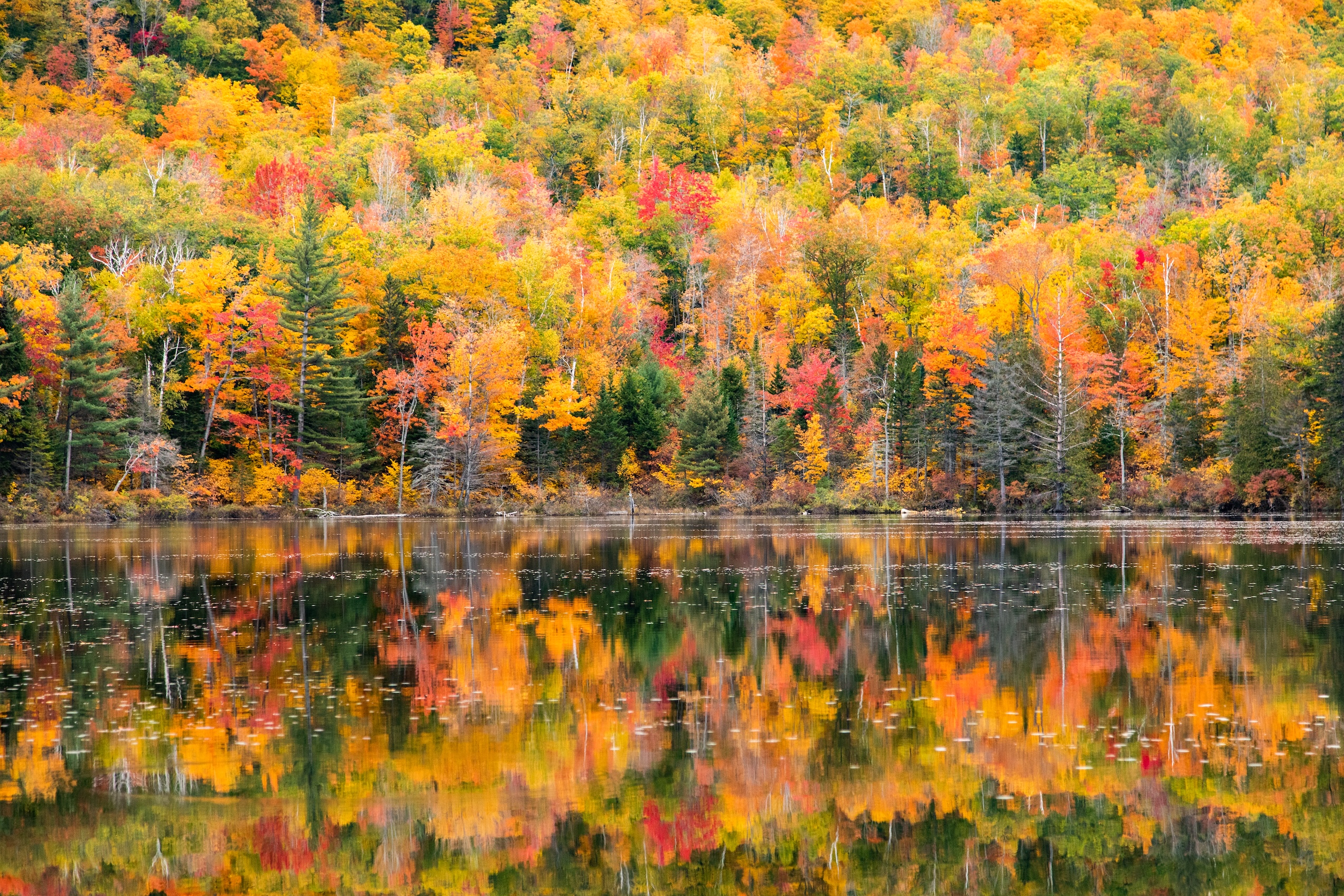 Autumn Landscape 56
