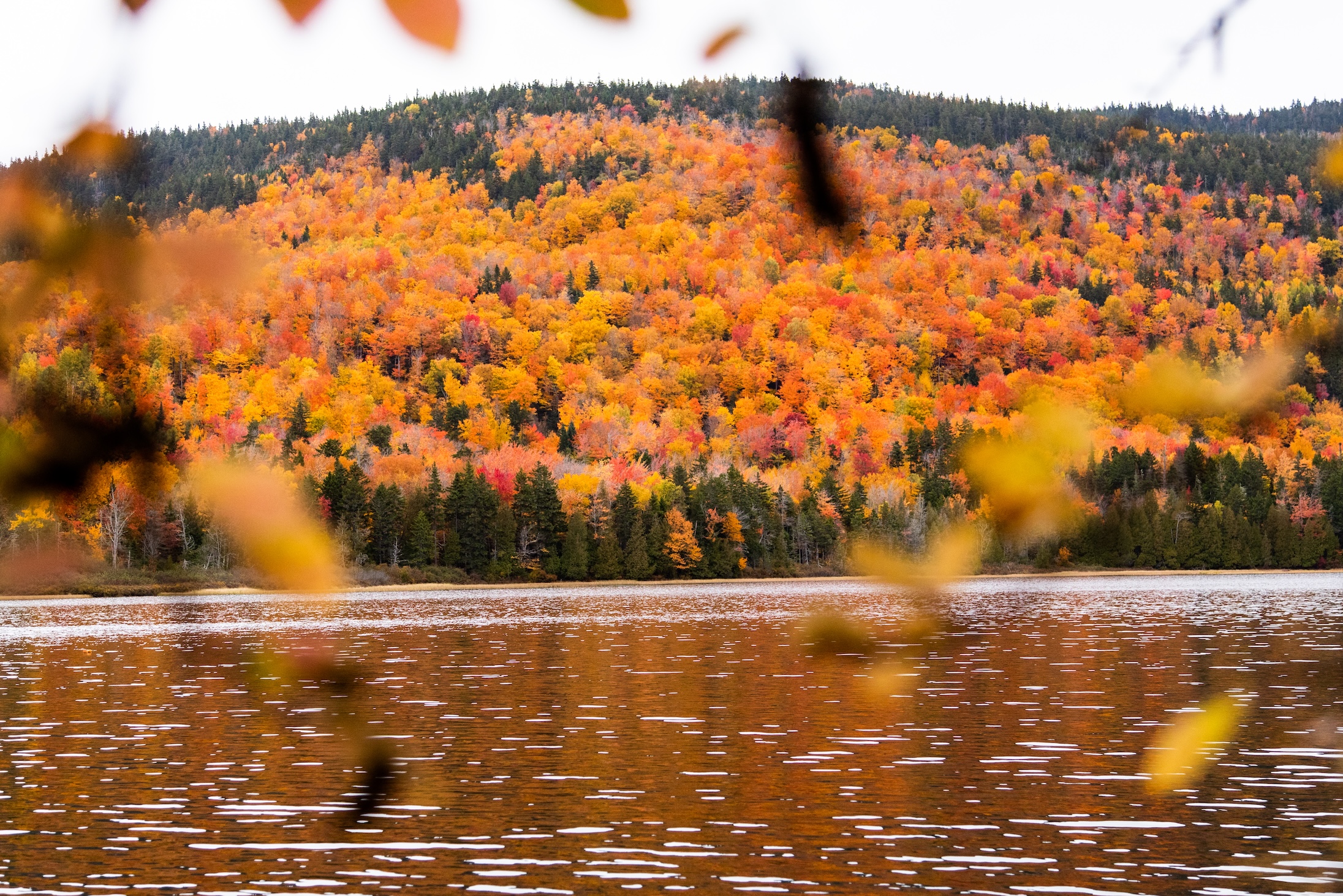 Autumn Landscape 55