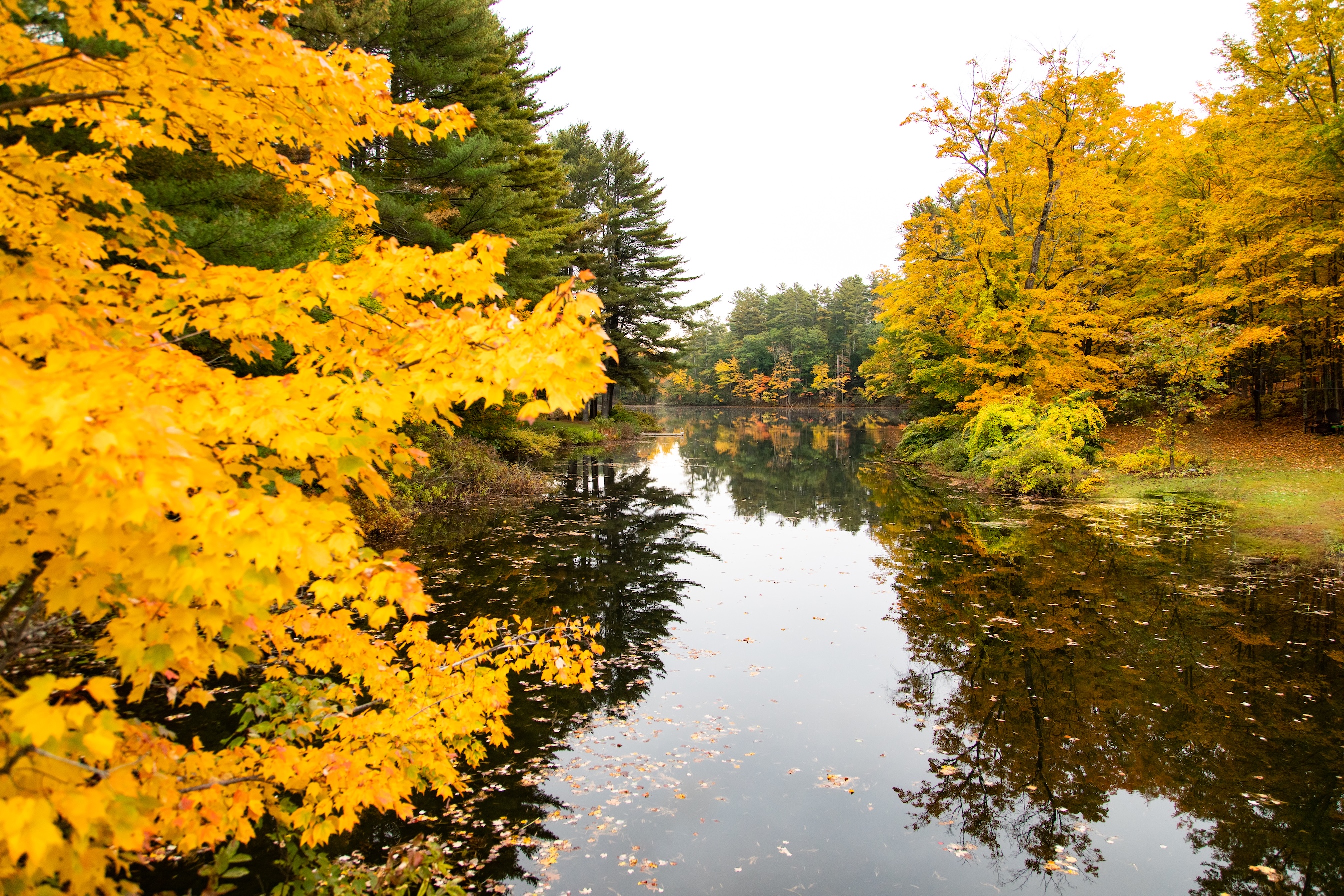 Autumn Landscape 53