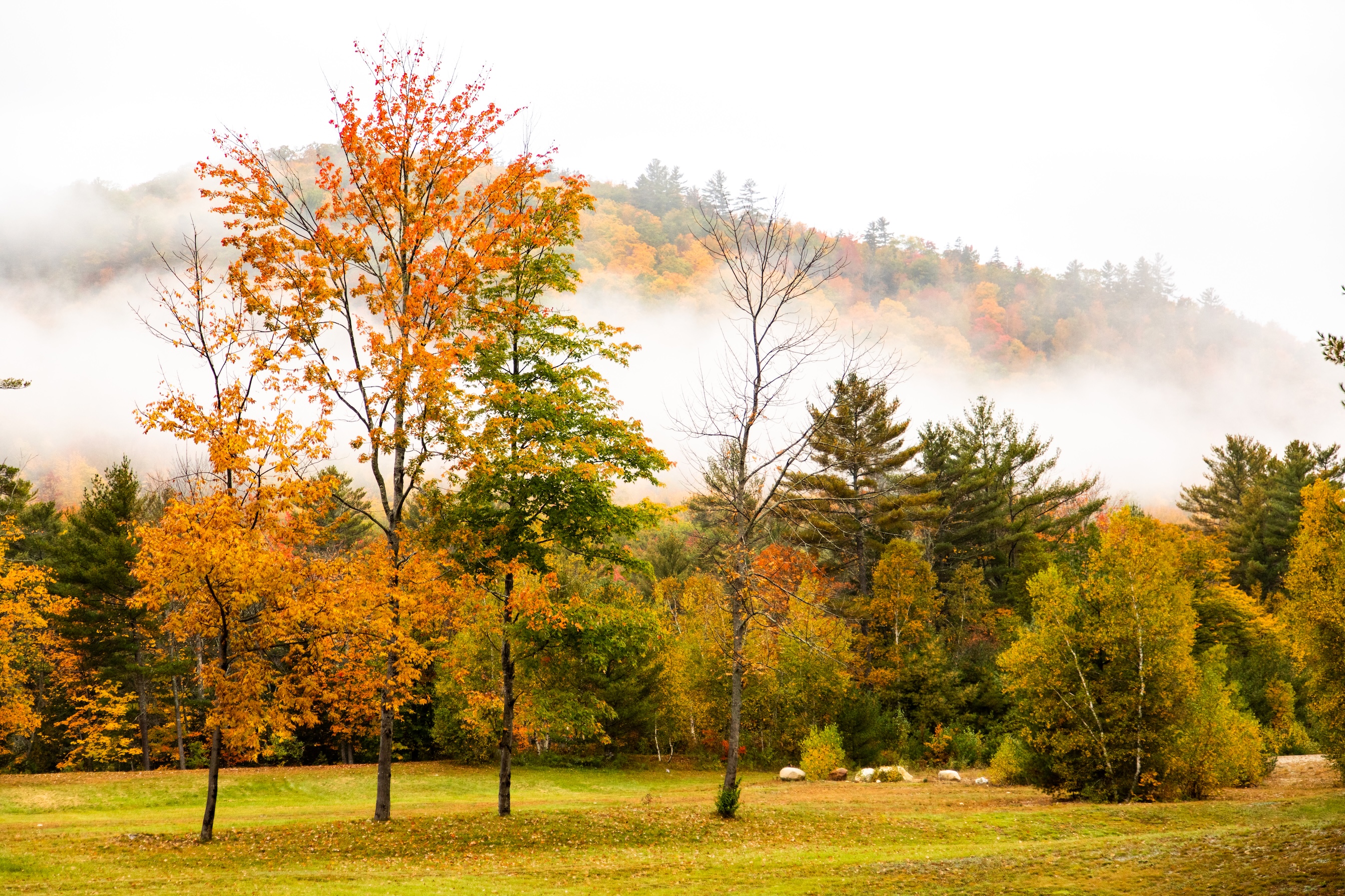 Autumn Landscape 52