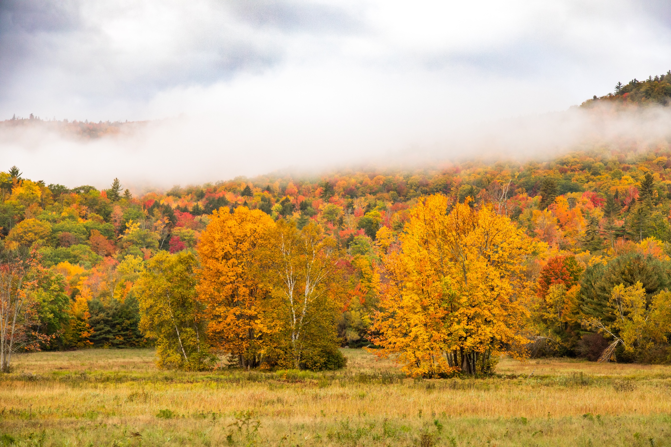 Autumn Landscape 51