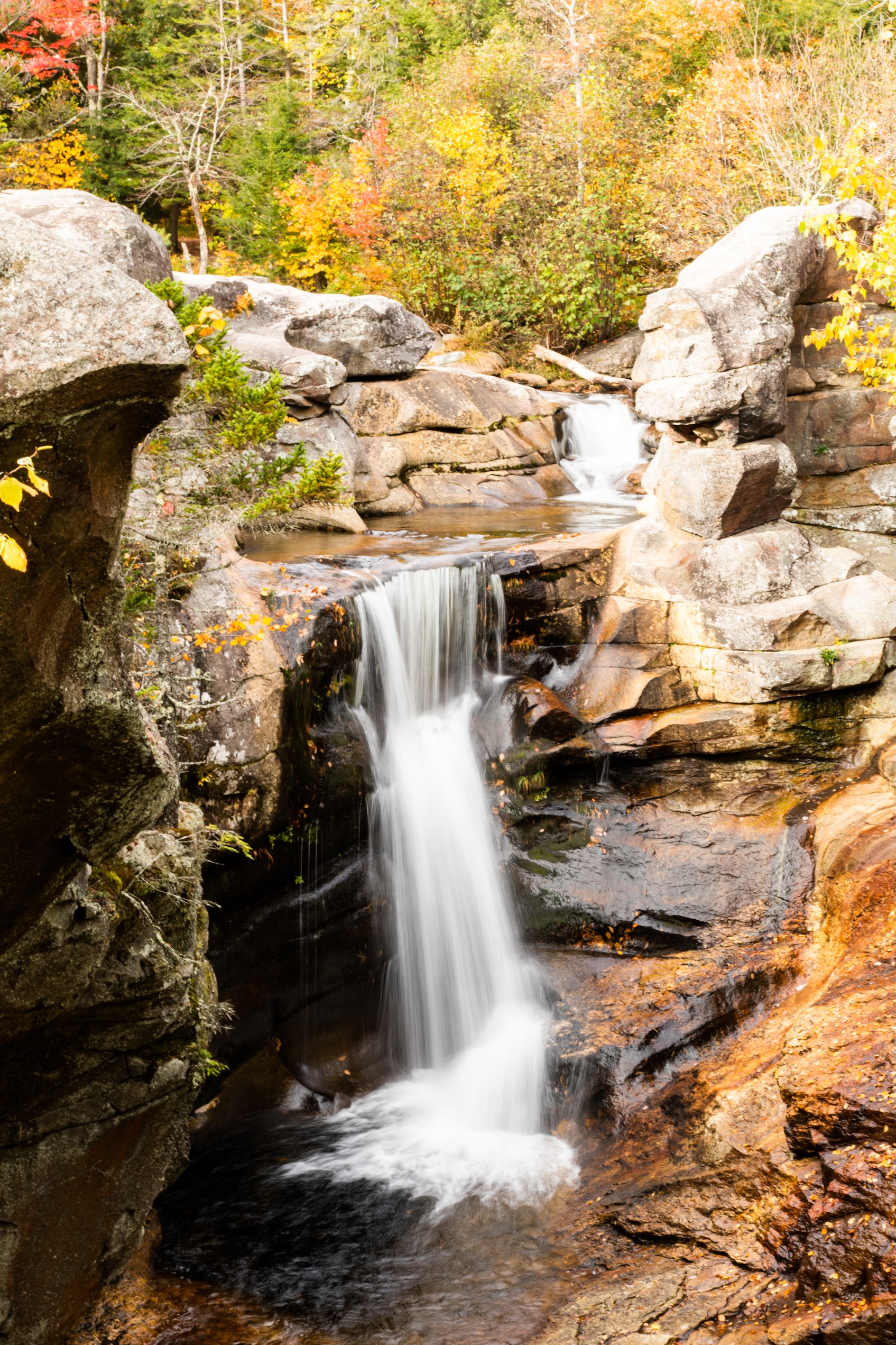 Autumn Landscape 50