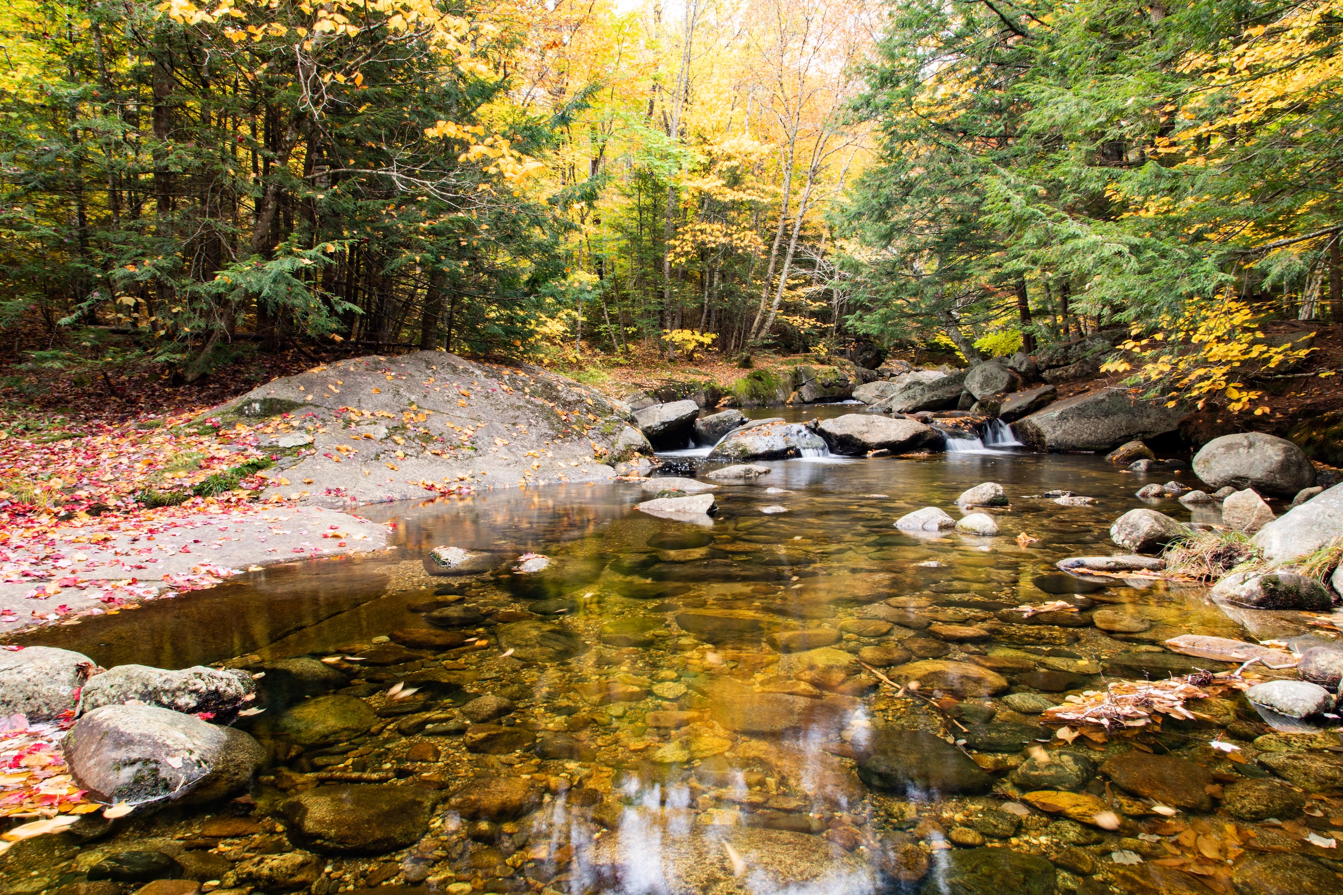 Autumn Landscape 49