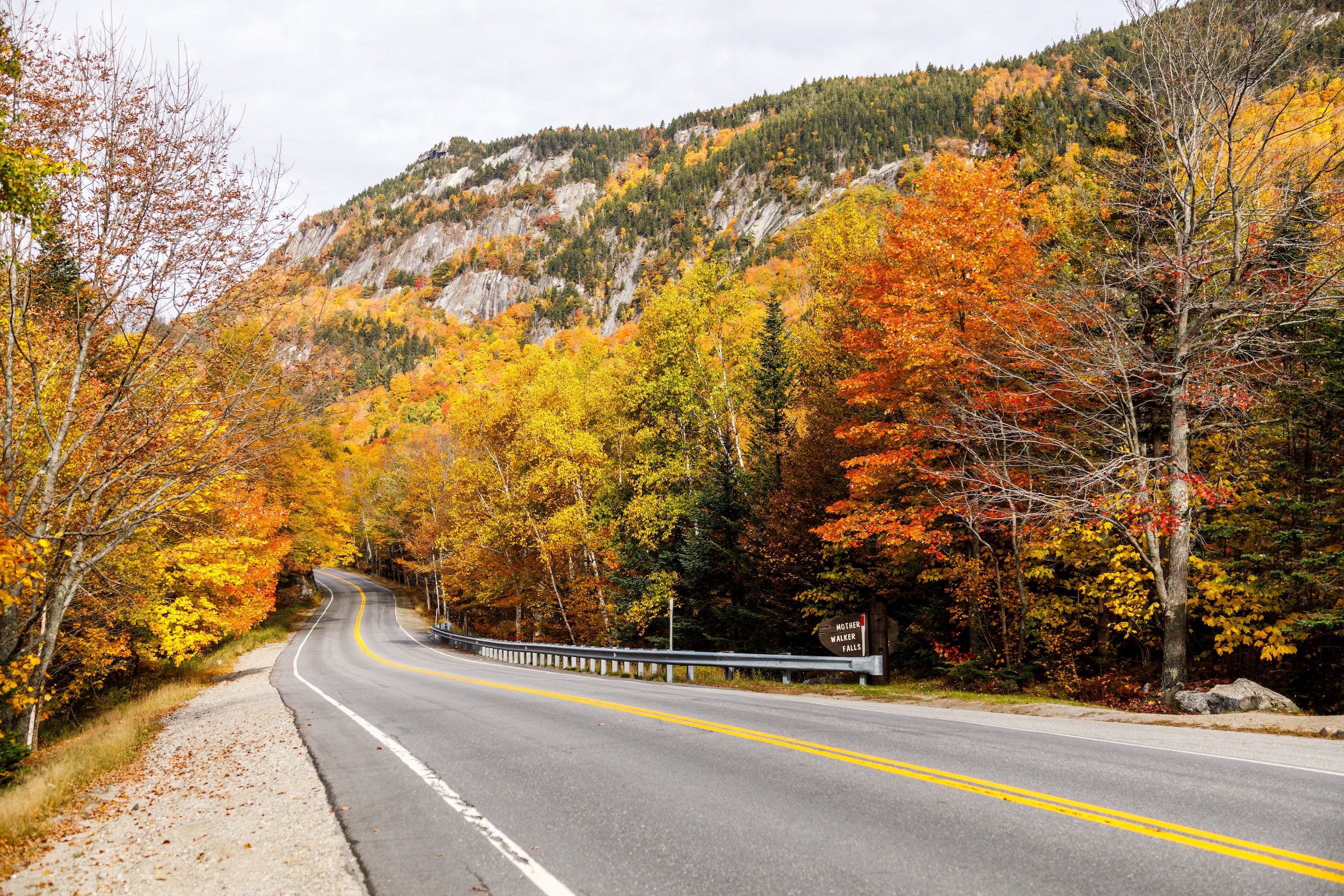 Autumn Landscape 46