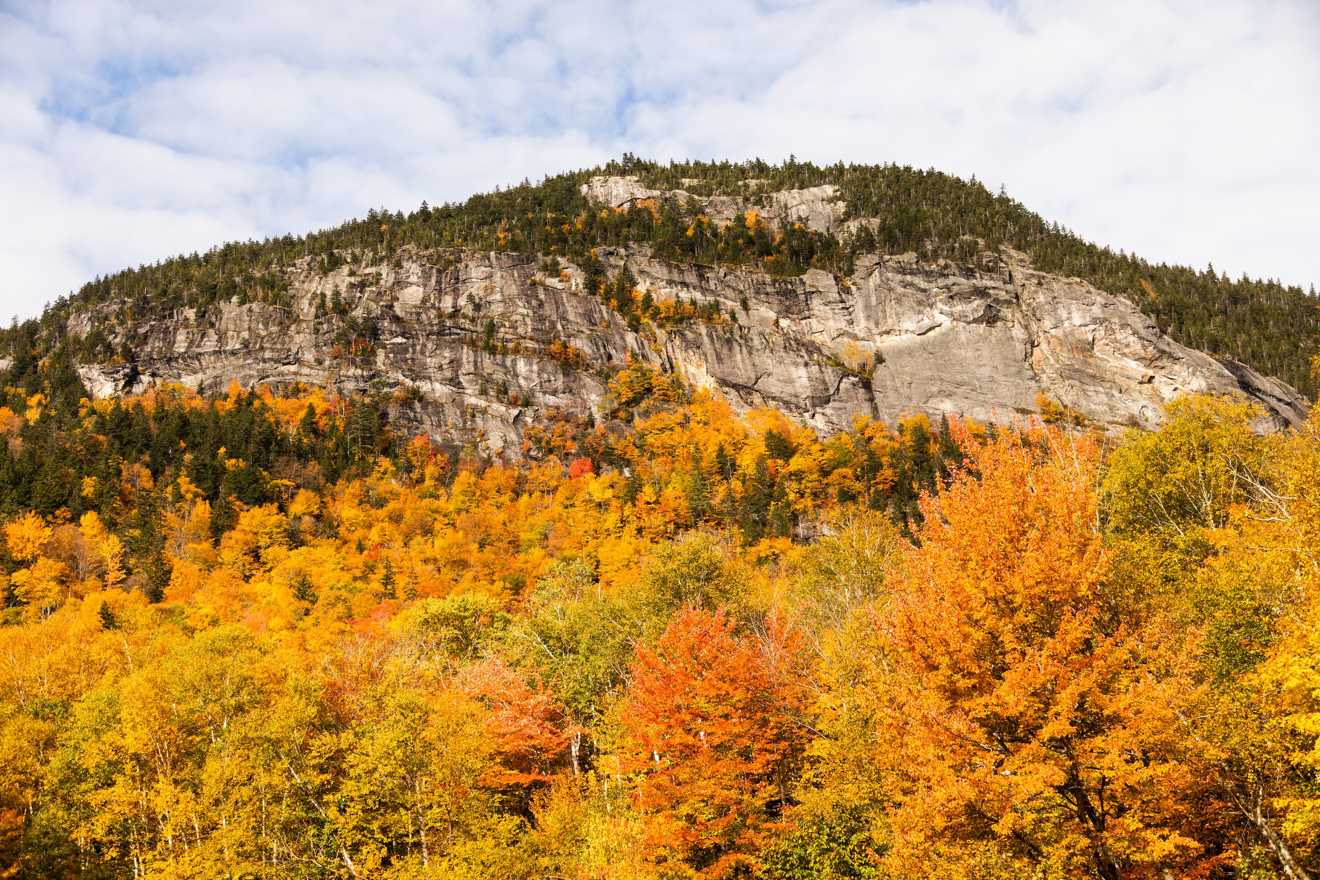 Autumn Landscape 45
