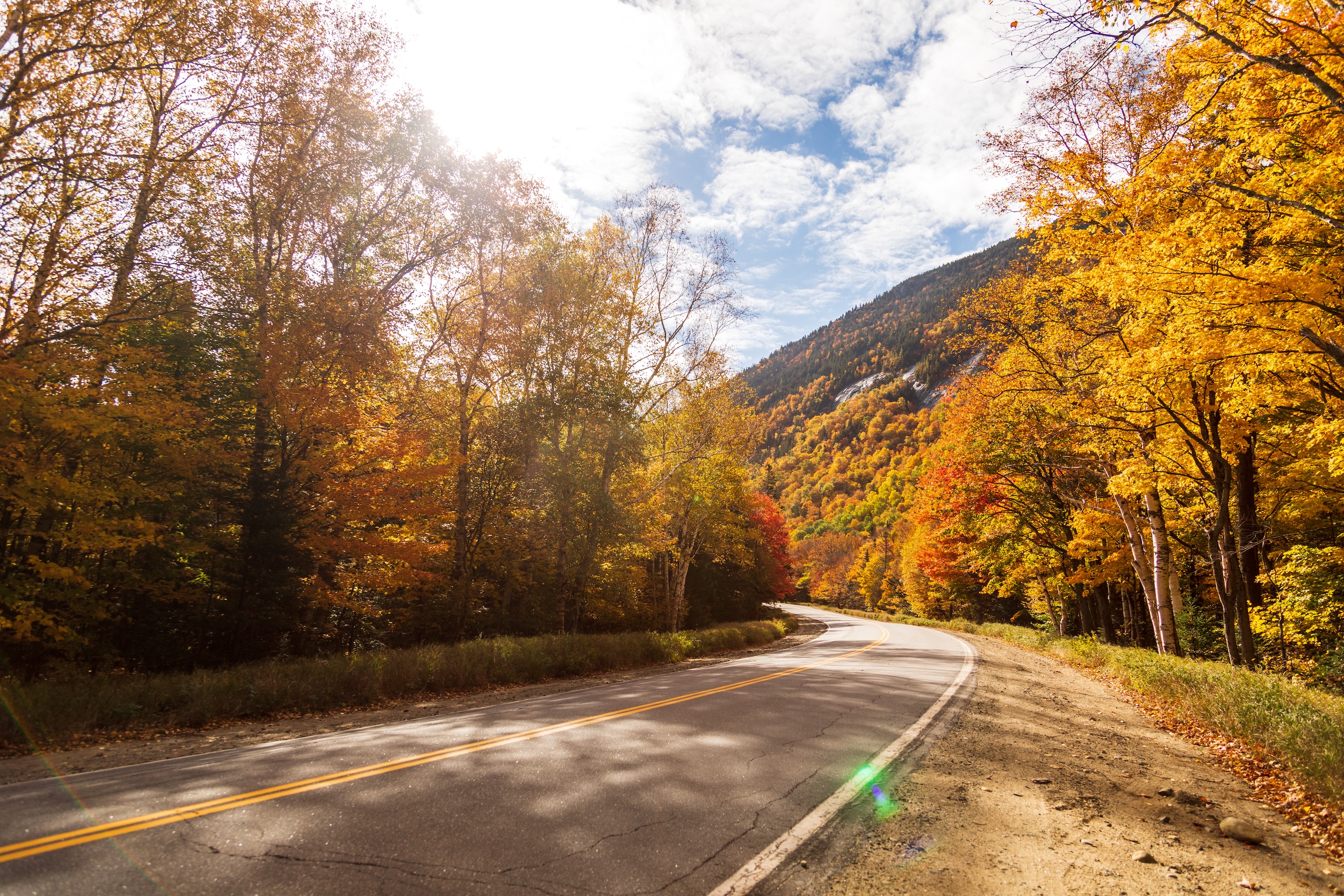 Autumn Landscape 44