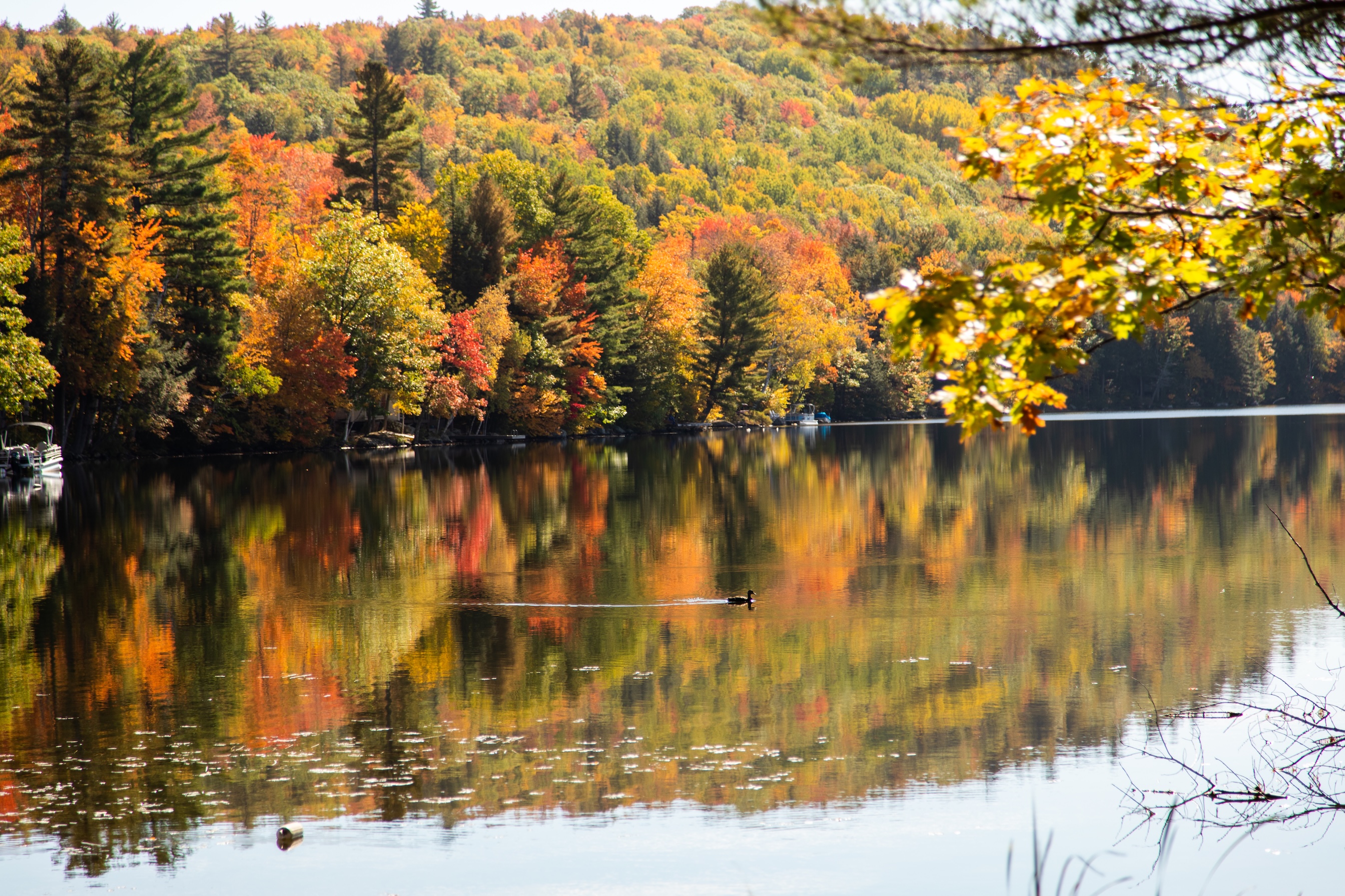 Autumn Landscape 43