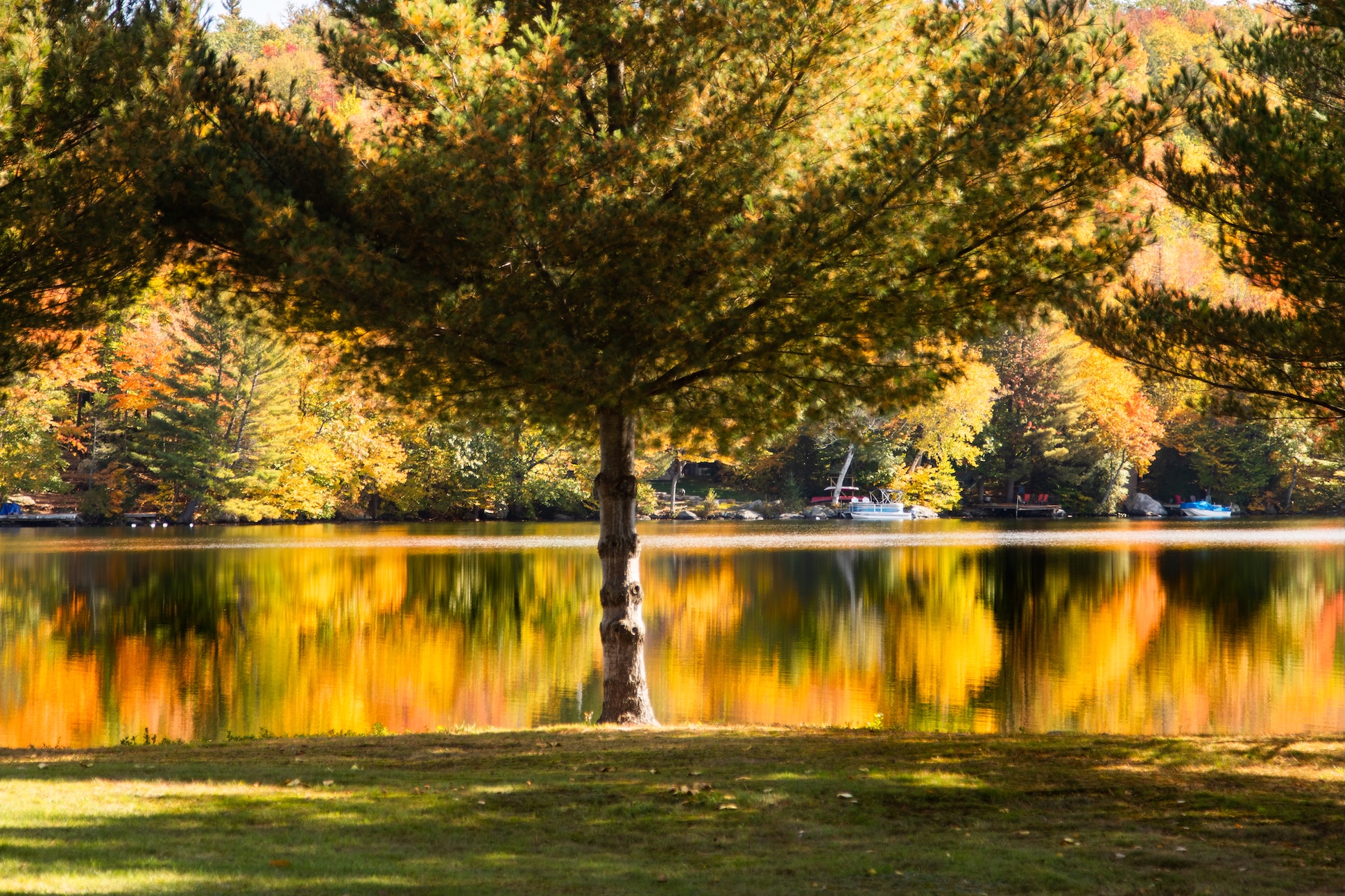 Autumn Landscape 42