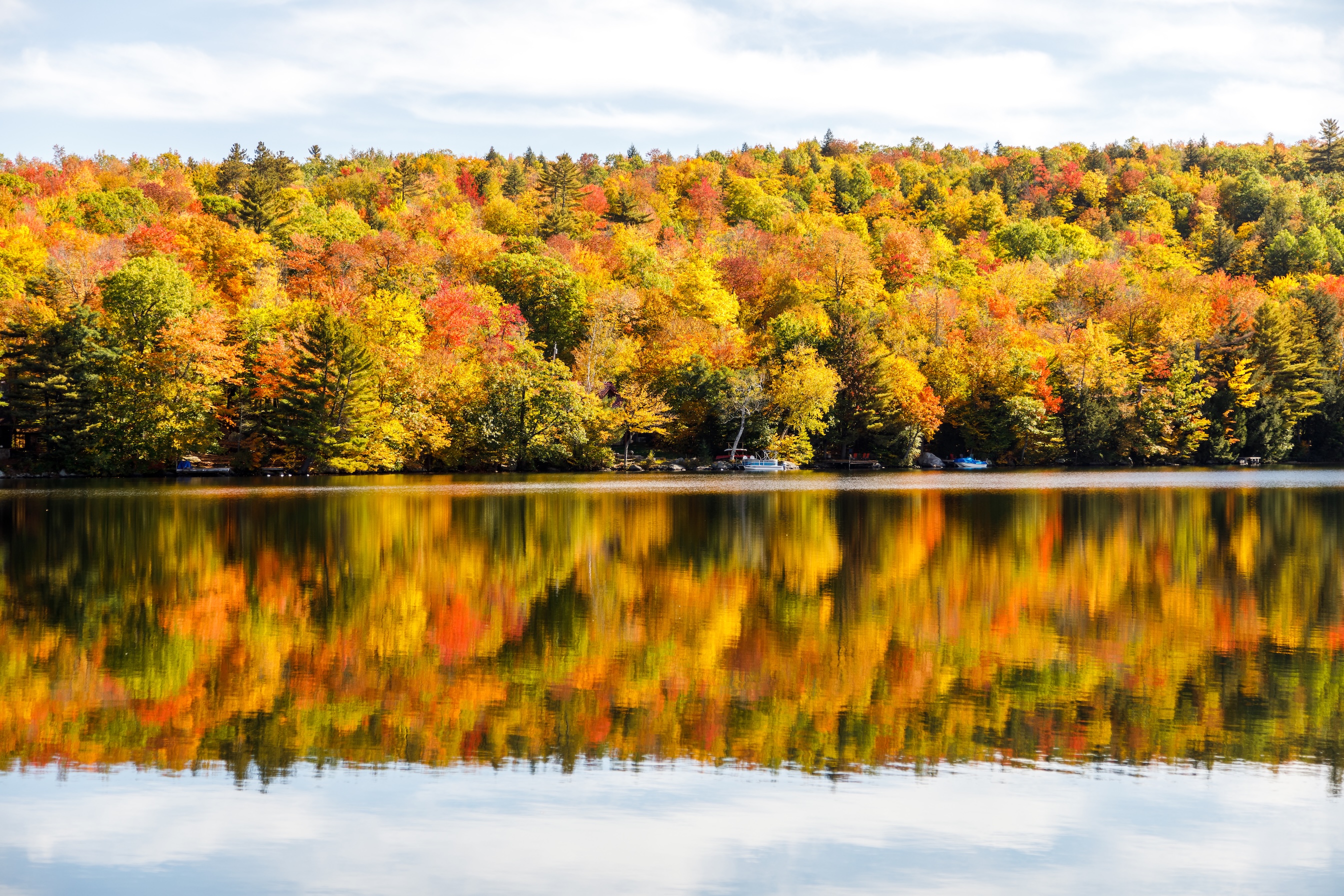 Autumn Landscape 41