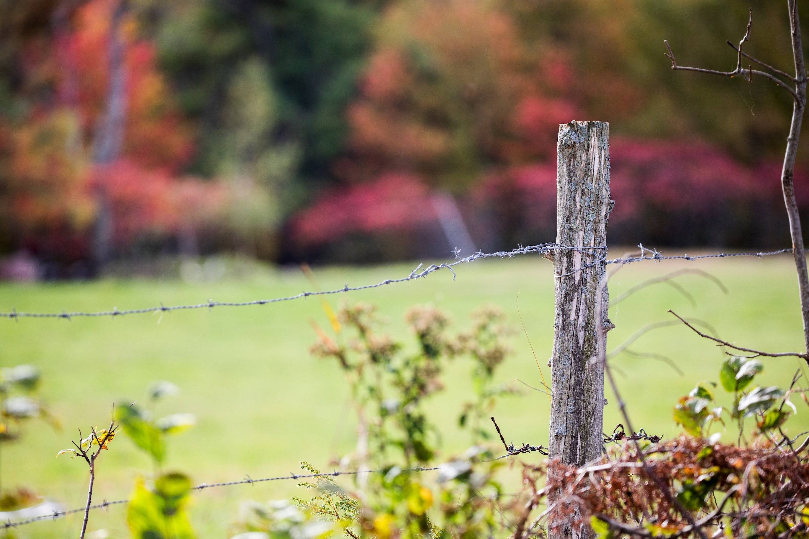 Autumn Landscape 38