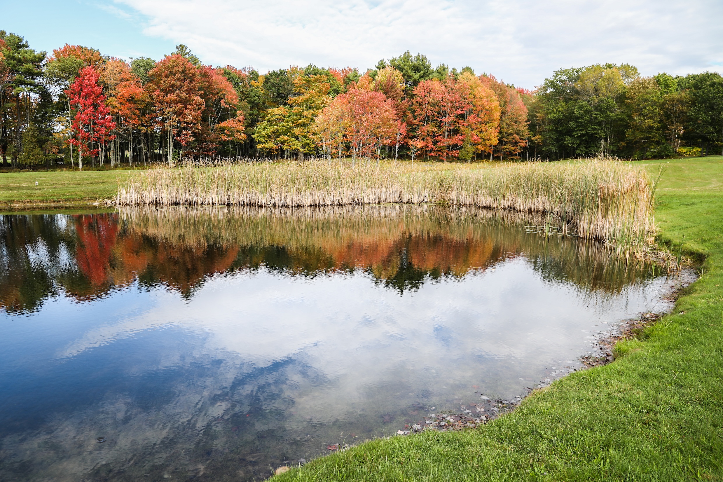 Autumn Landscape 37