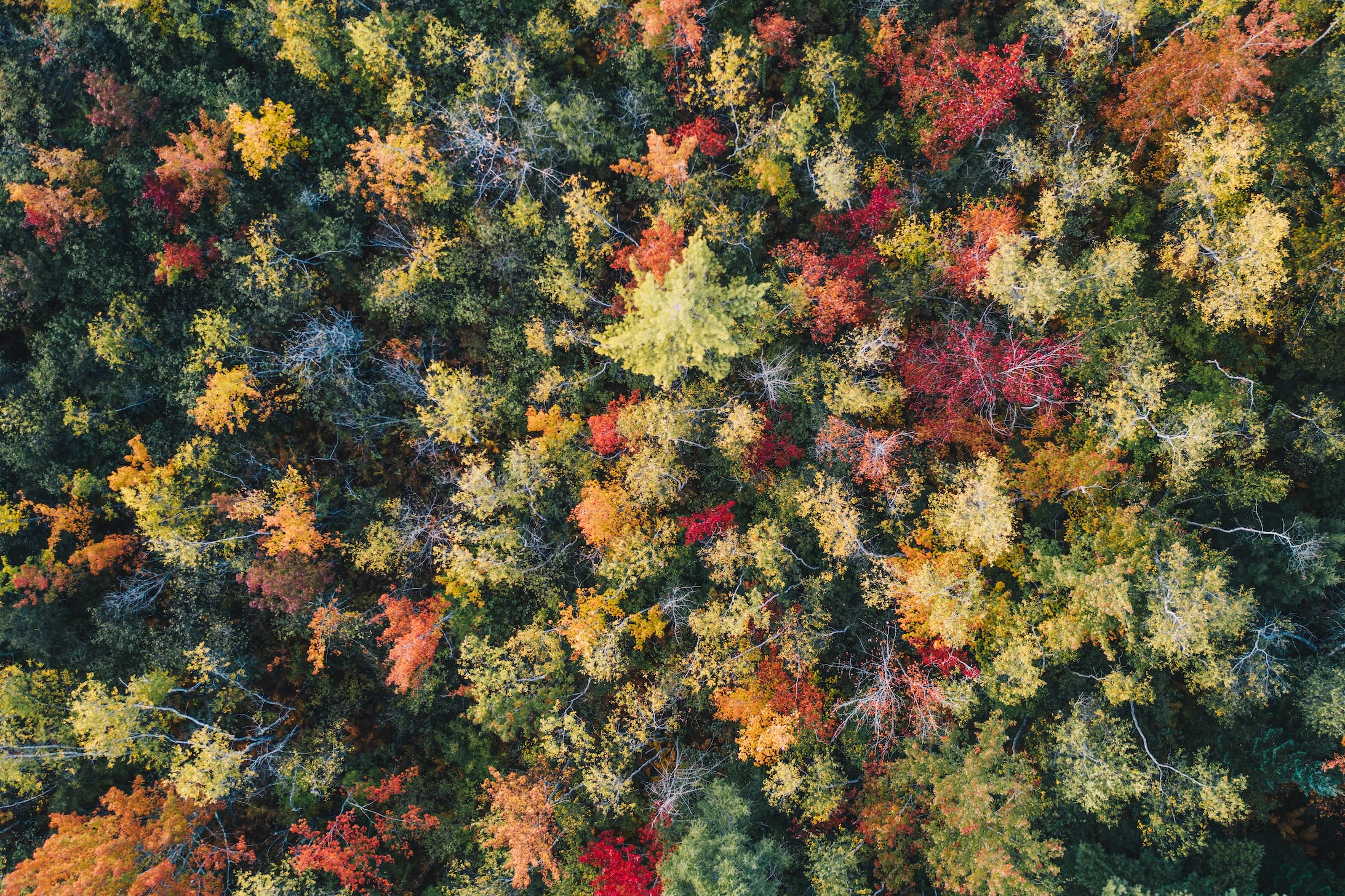 Autumn Landscape 34