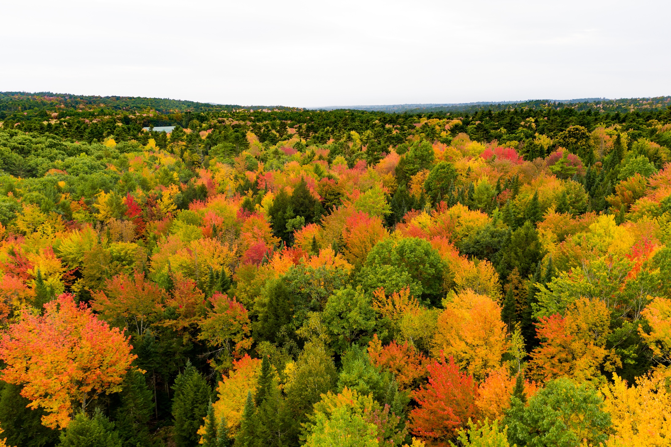 Autumn Landscape 32