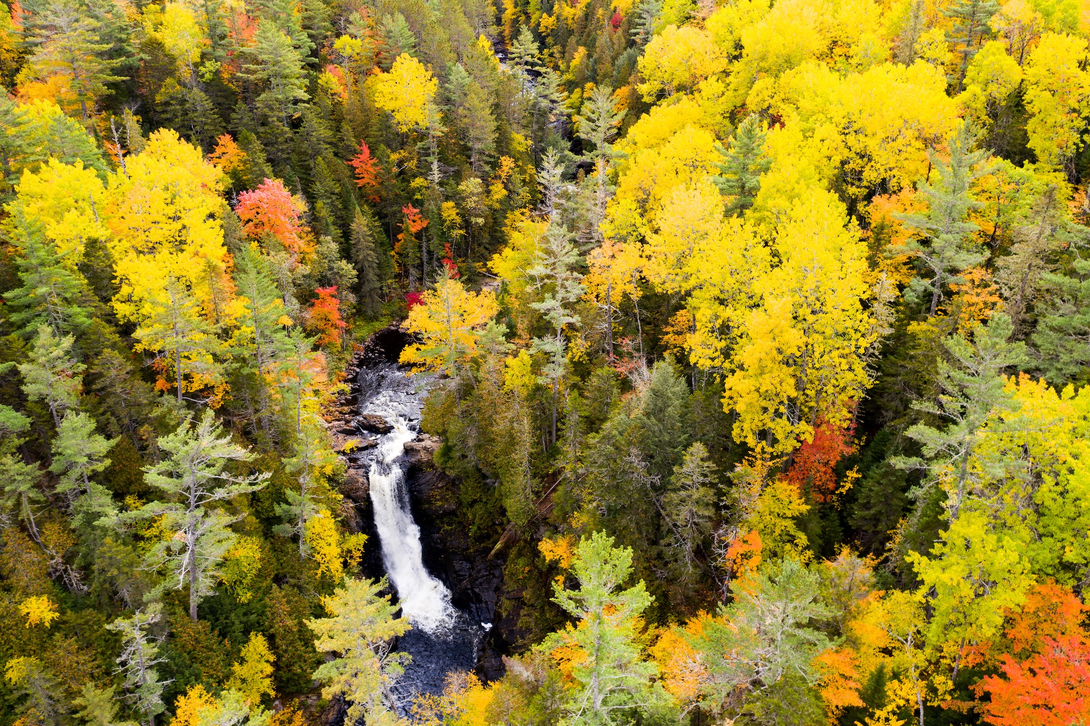 Autumn Landscape 26