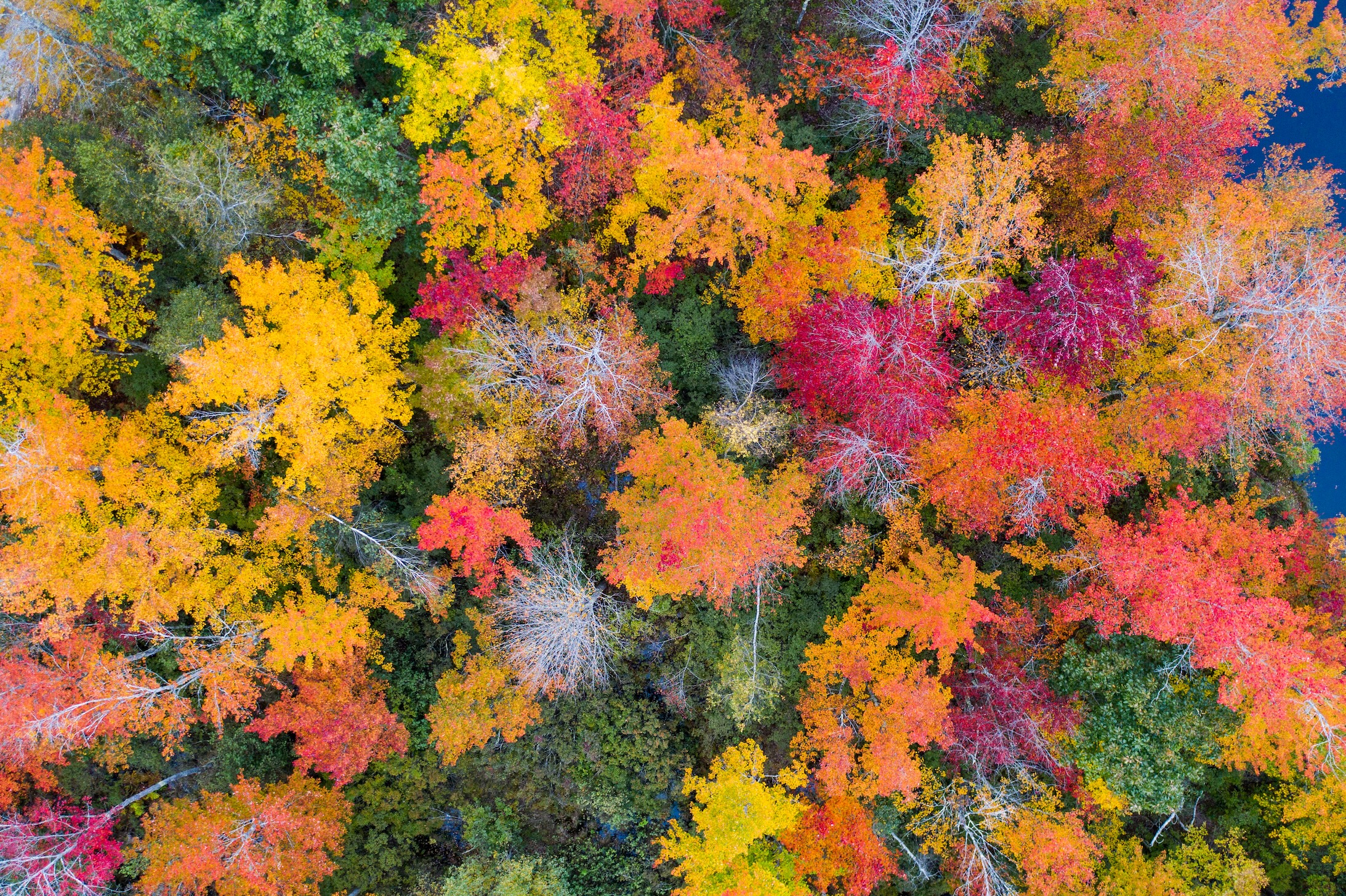 Autumn Landscape 25