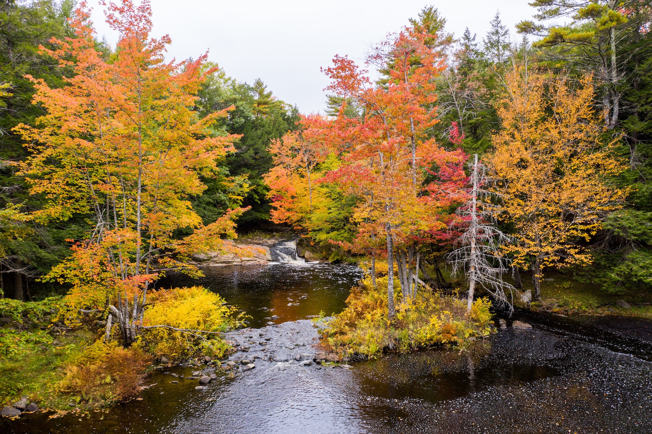 Autumn Landscape 22