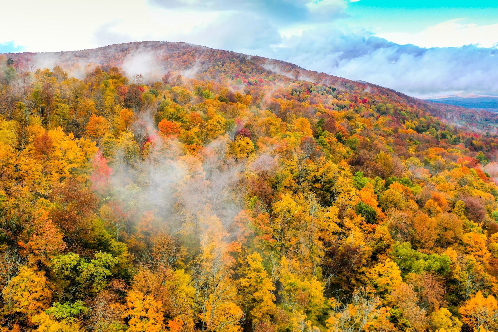 Autumn Landscape 18