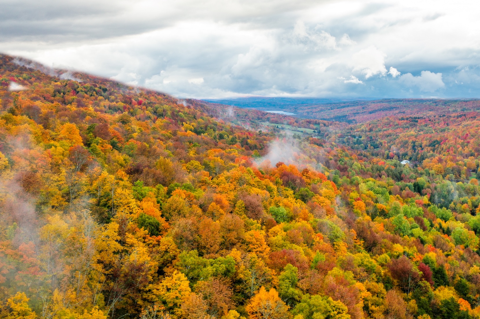 Autumn Landscape 16
