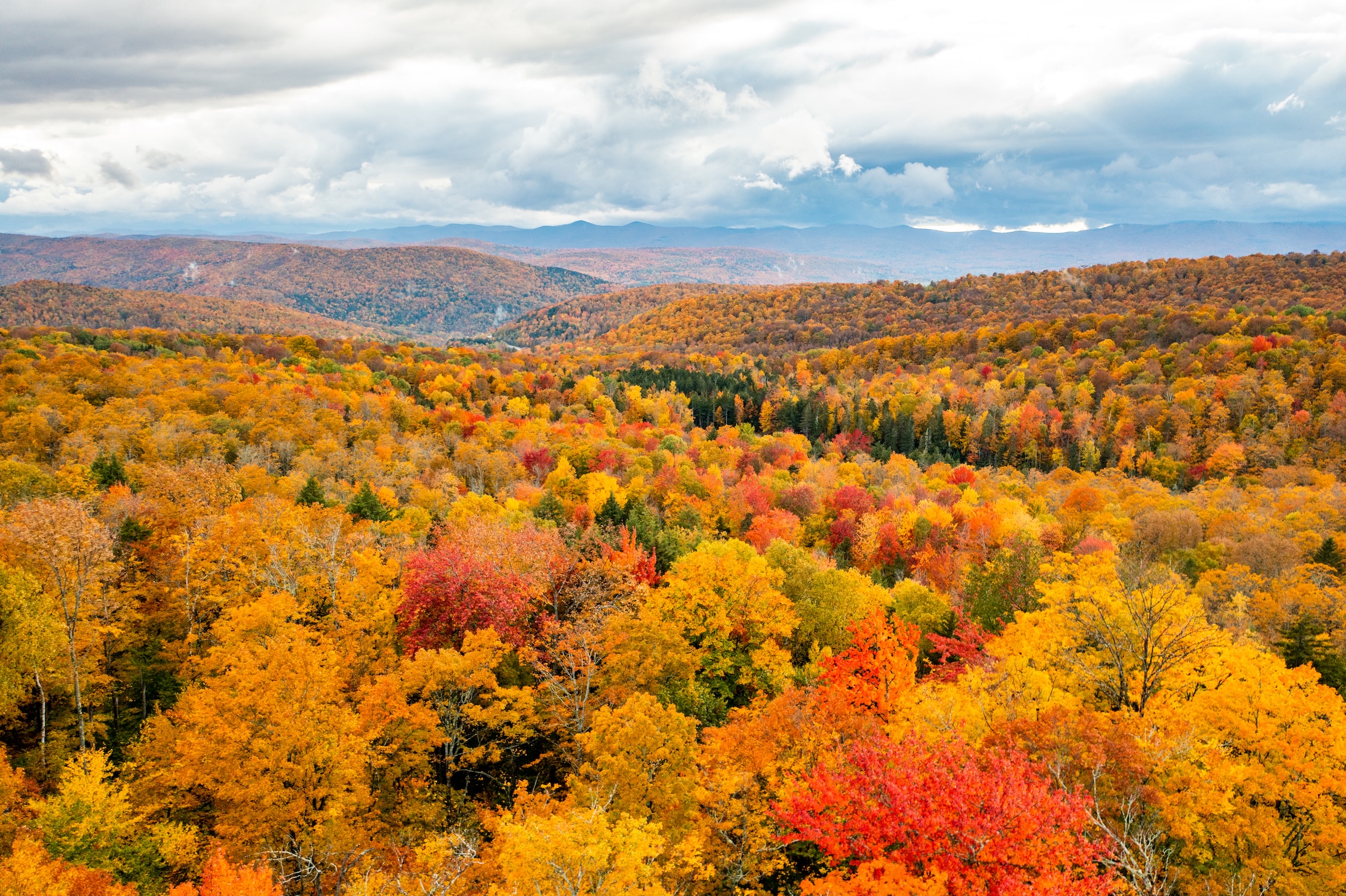 Autumn Landscape 17